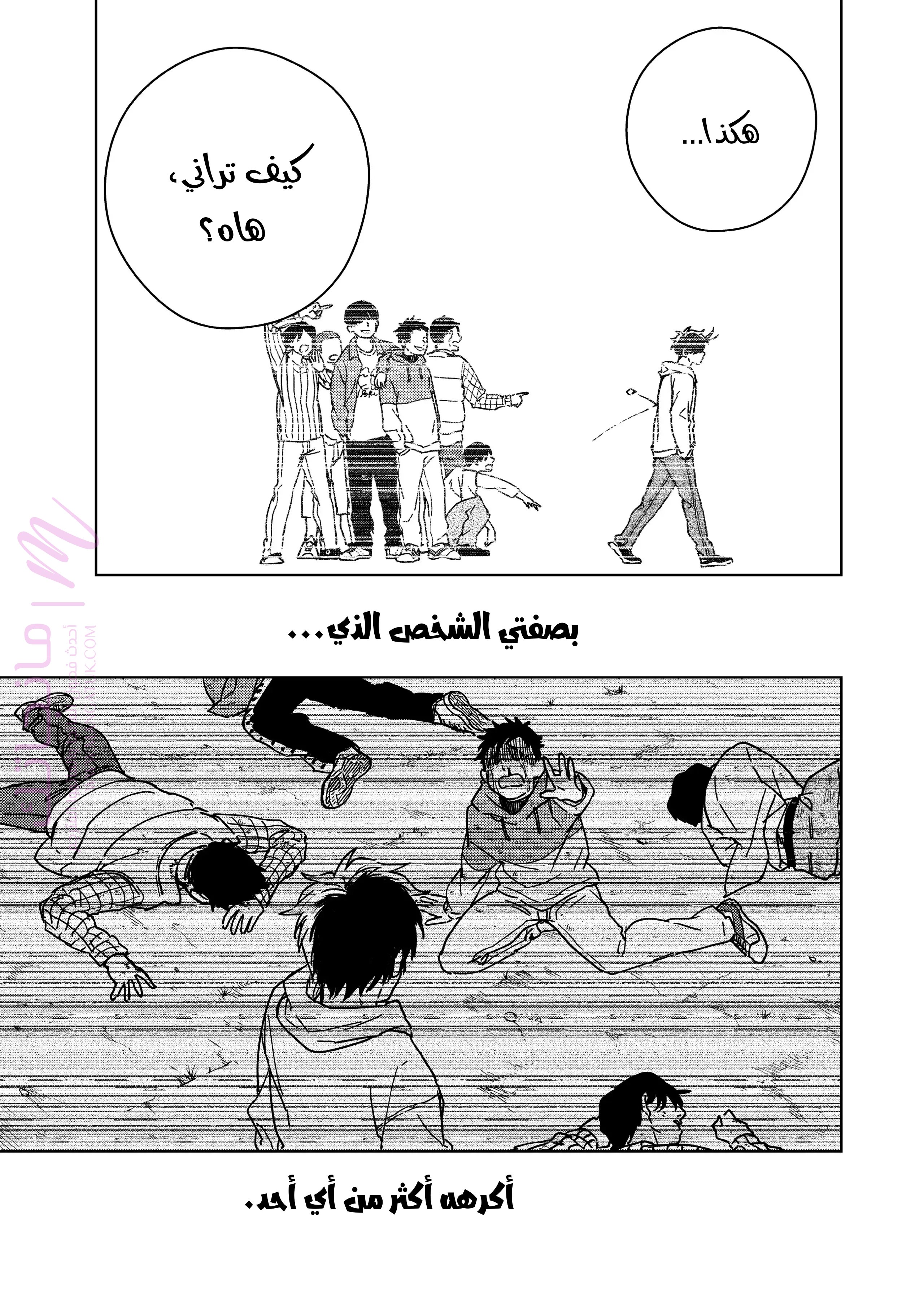 الصفحة 17