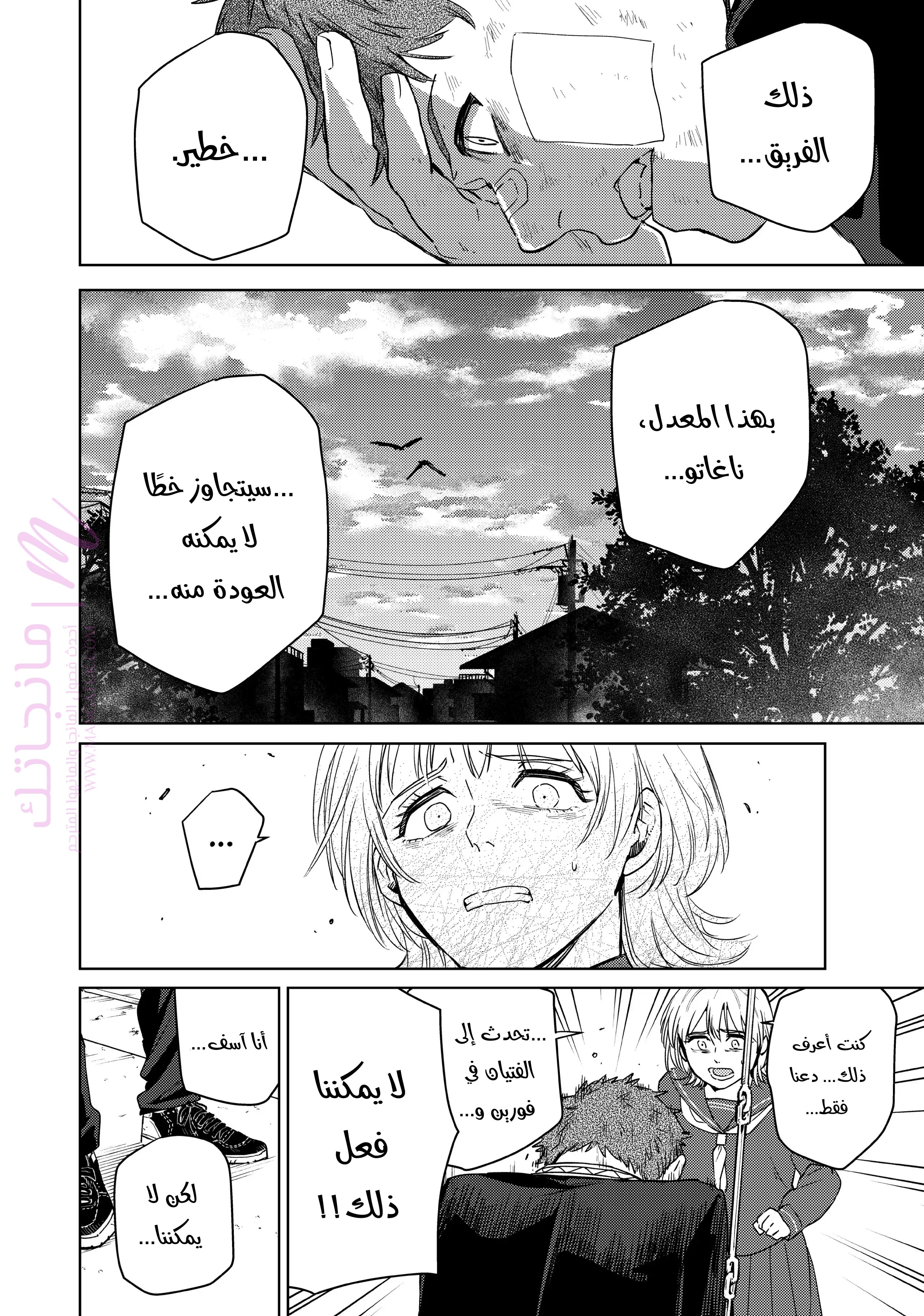 الصفحة 14