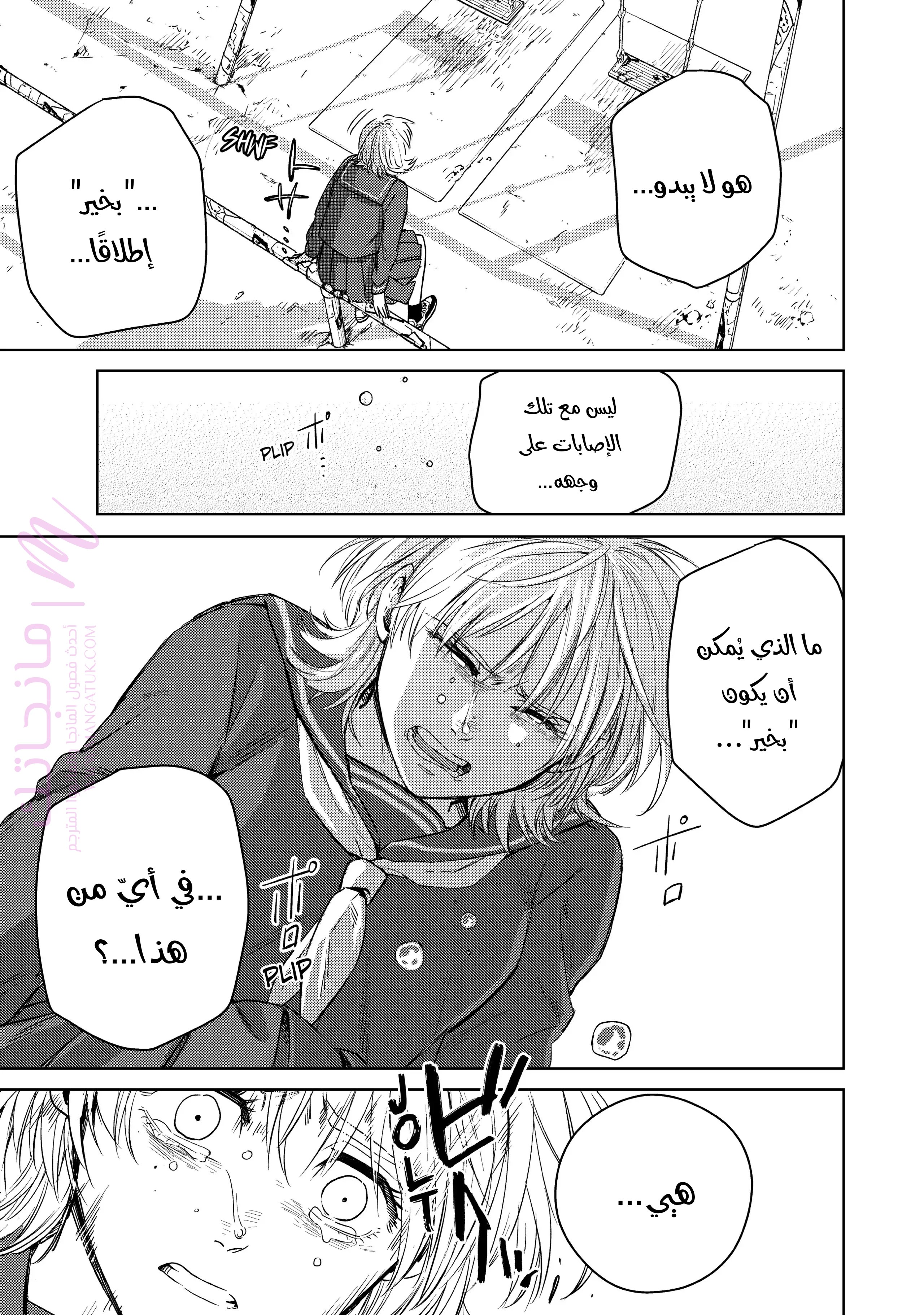 الصفحة 17