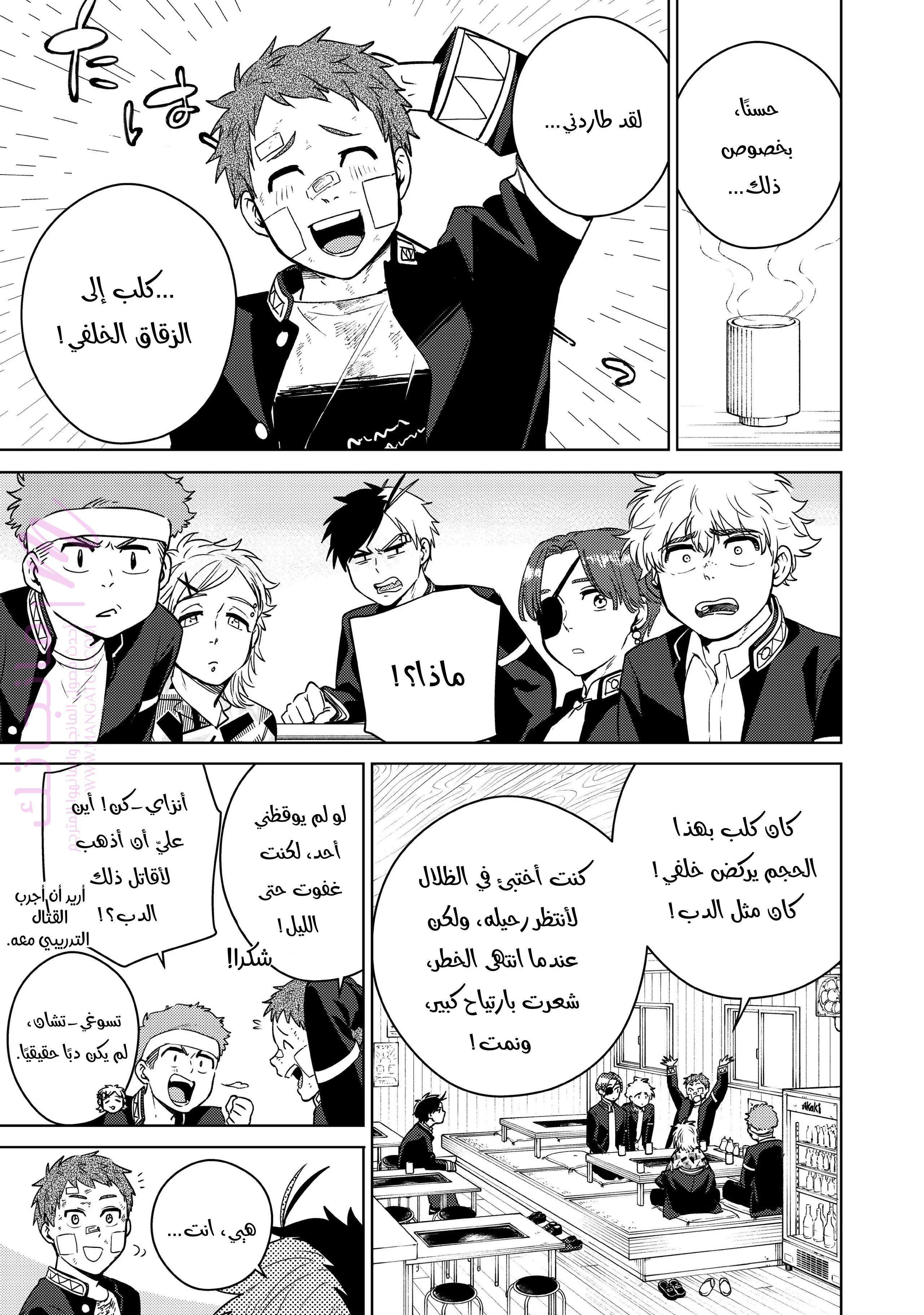 الصفحة 3
