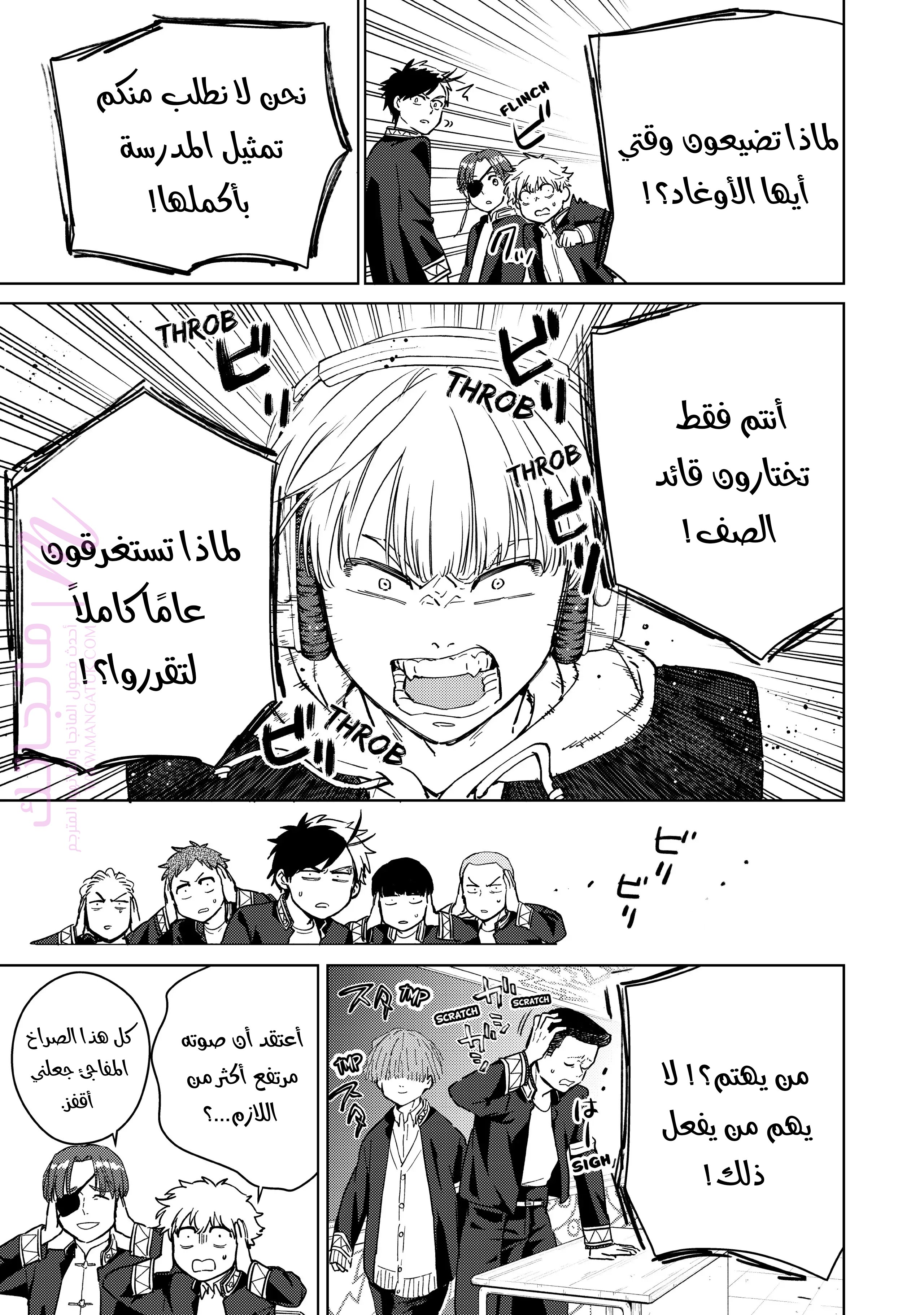 الصفحة 17