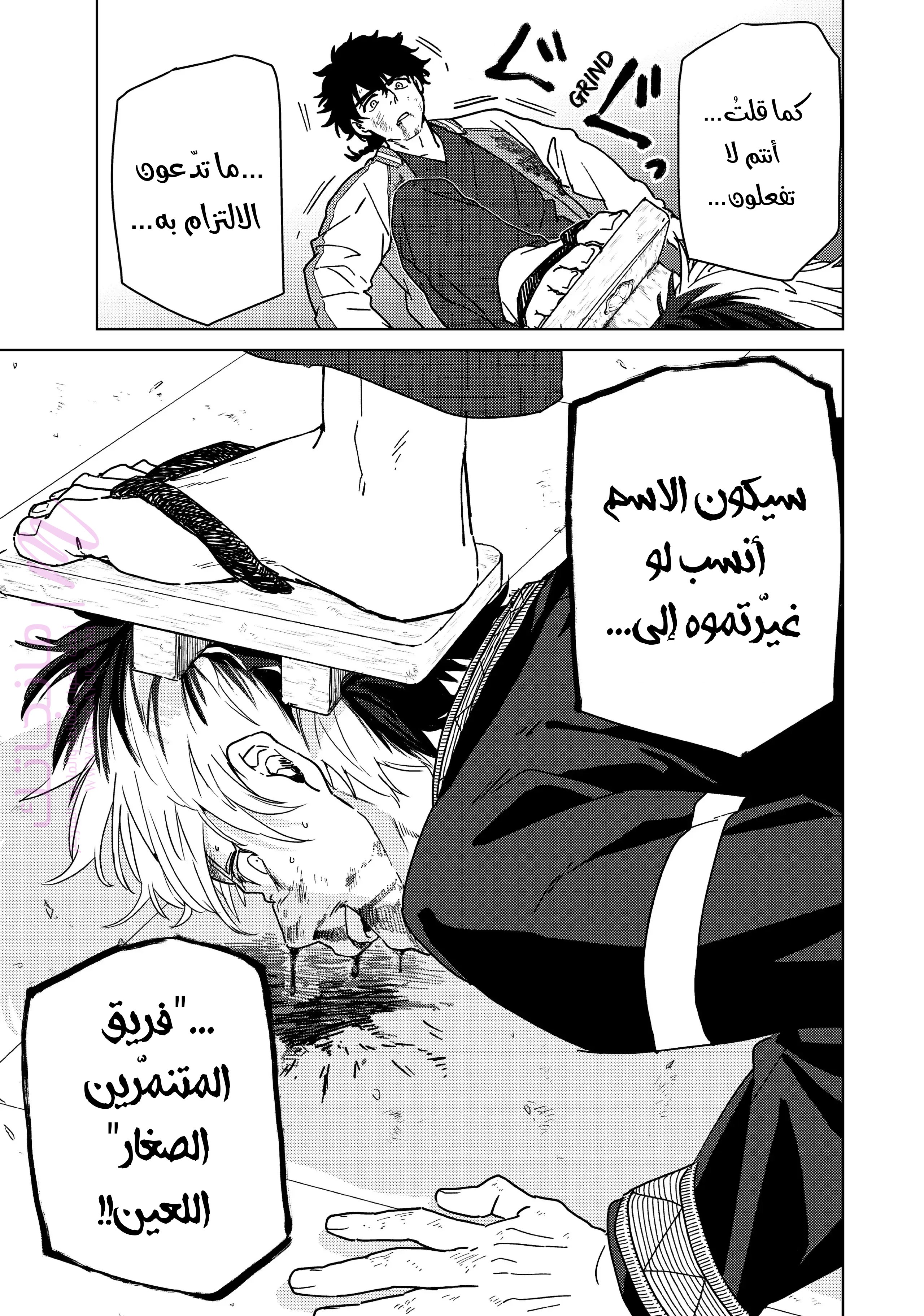 الصفحة 11