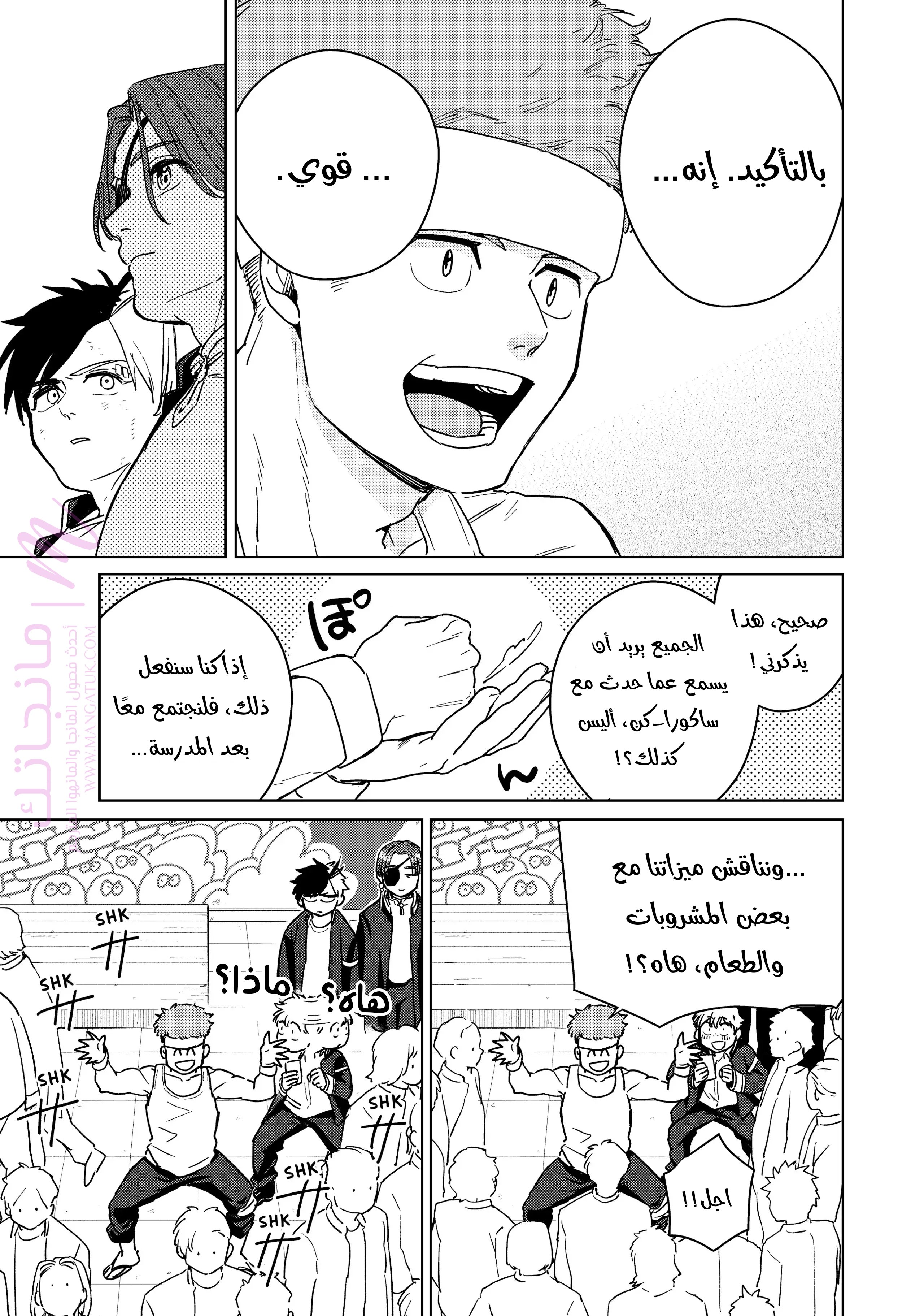الصفحة 13