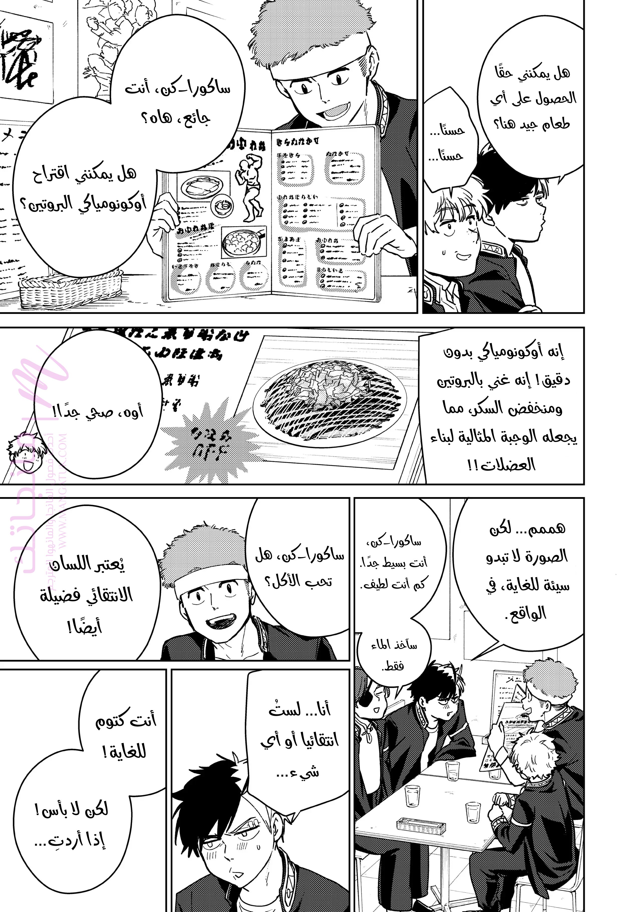 الصفحة 17