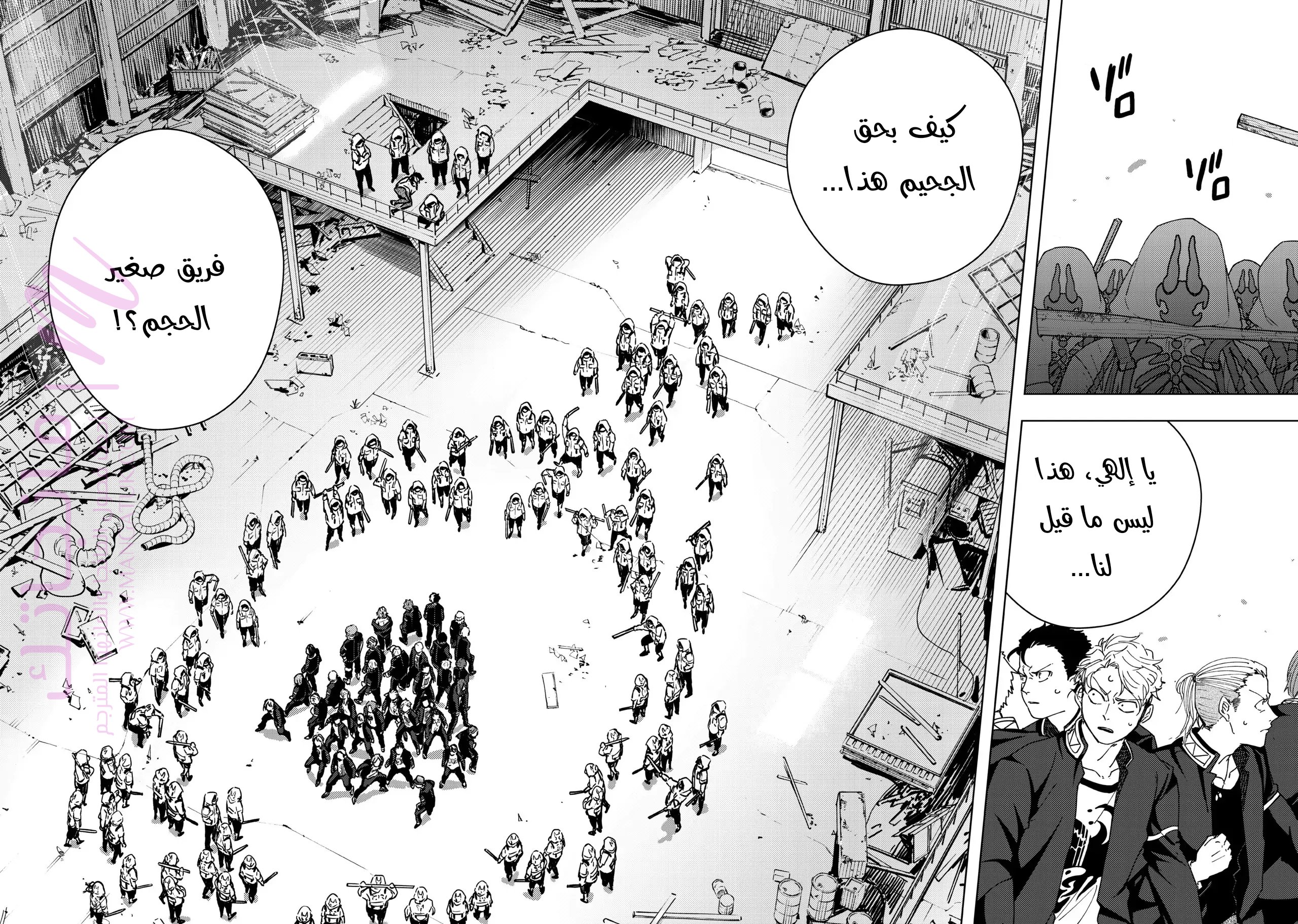 الصفحة 17