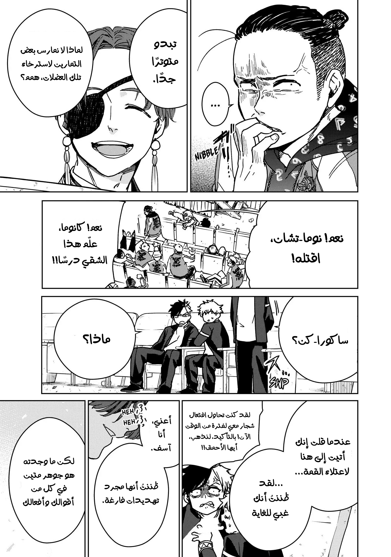 الصفحة 13