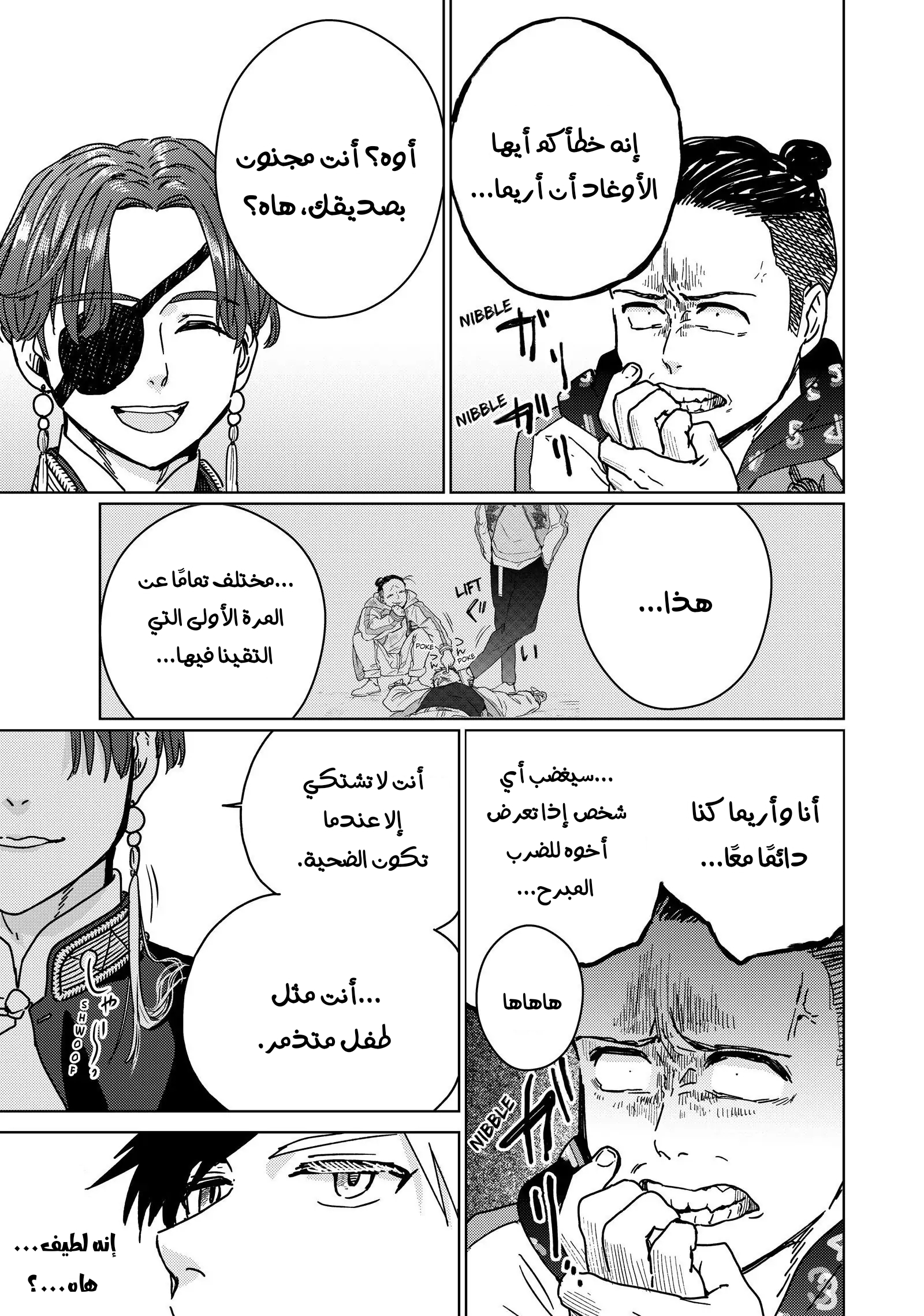 الصفحة 17