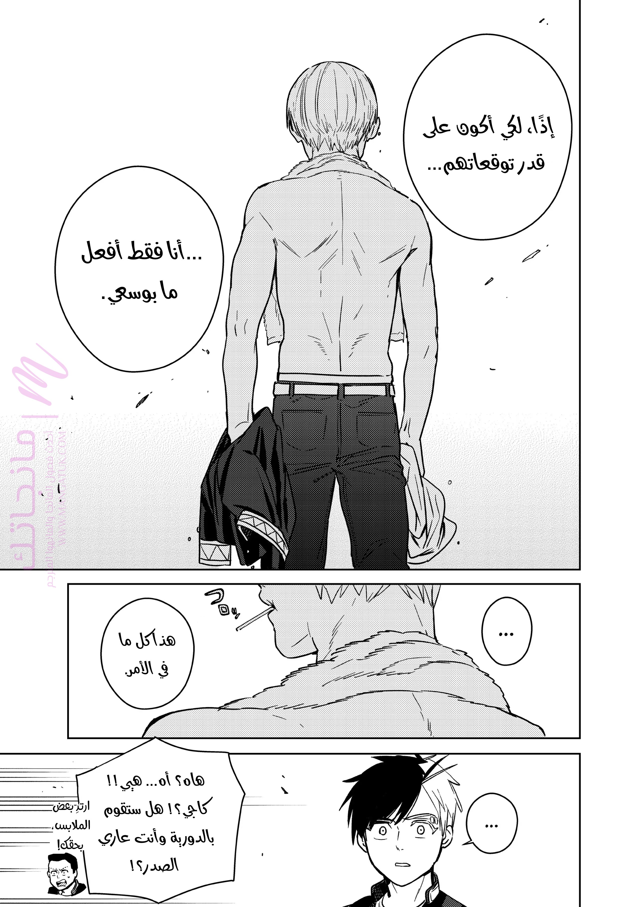 الصفحة 17