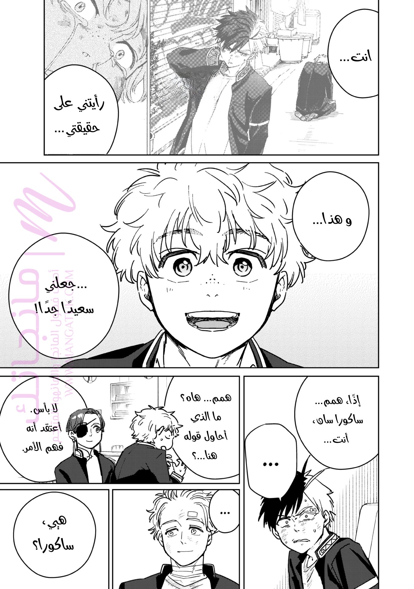 الصفحة 13