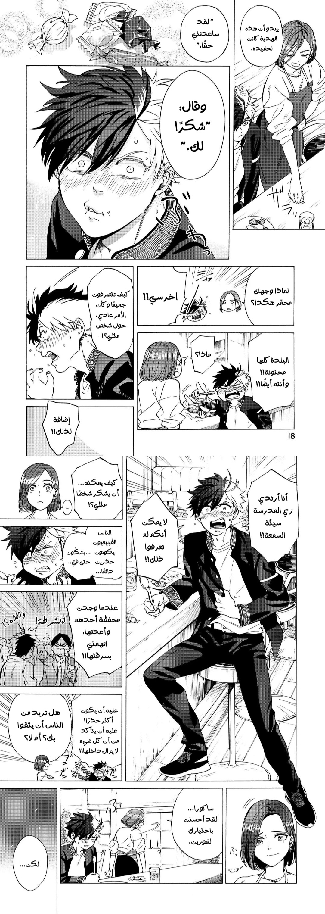 الصفحة 11