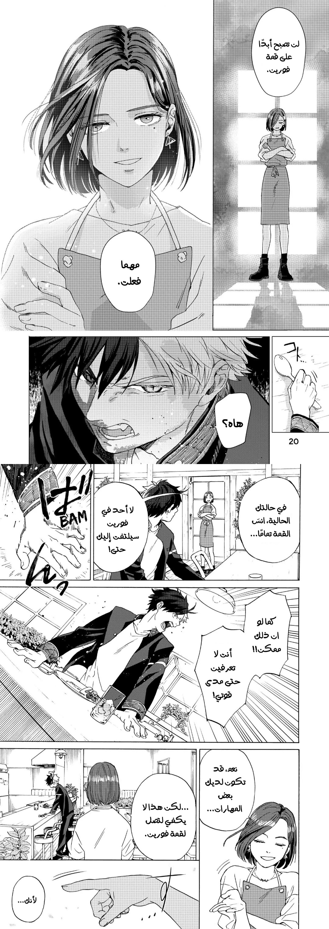 الصفحة 12
