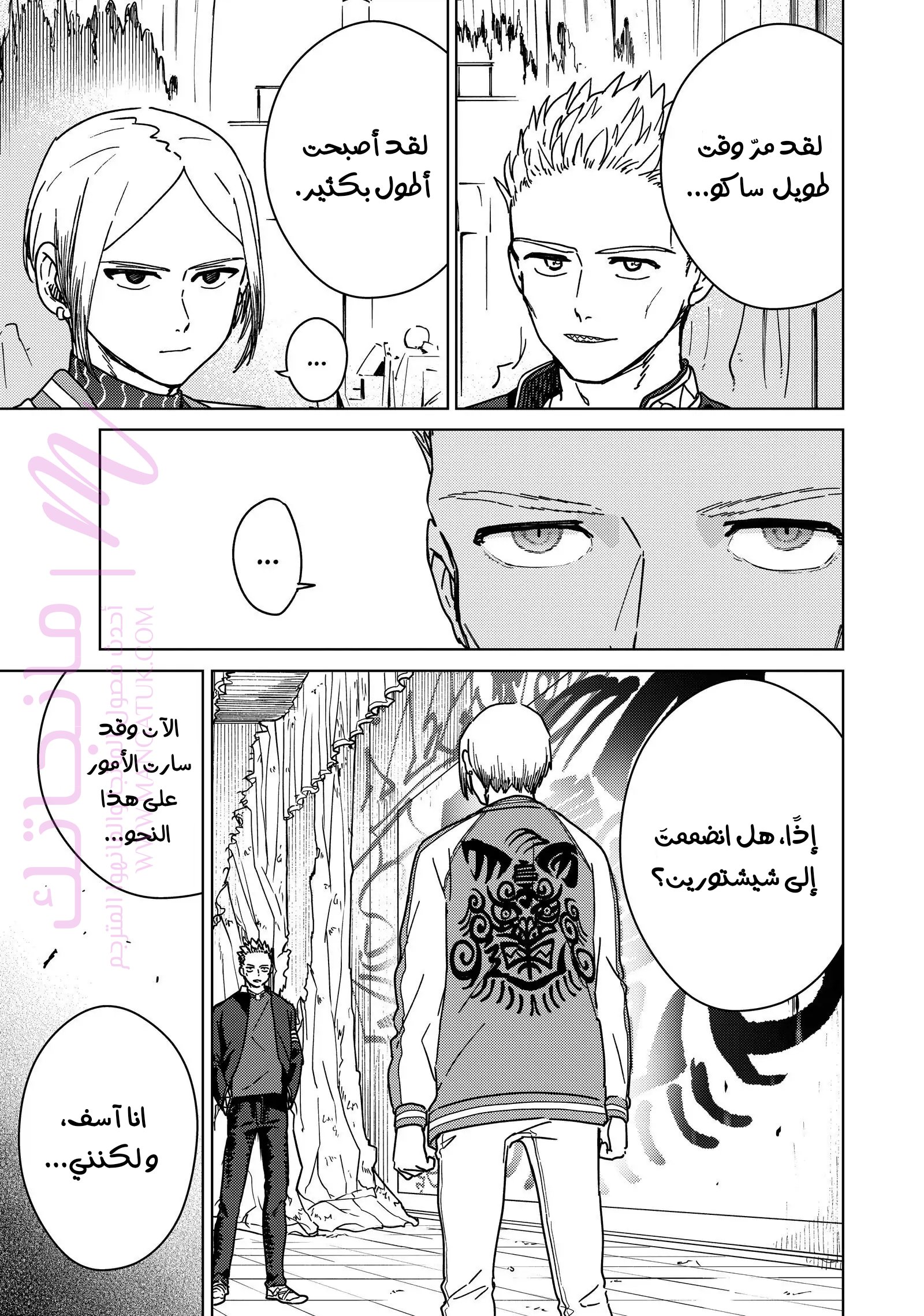الصفحة 13