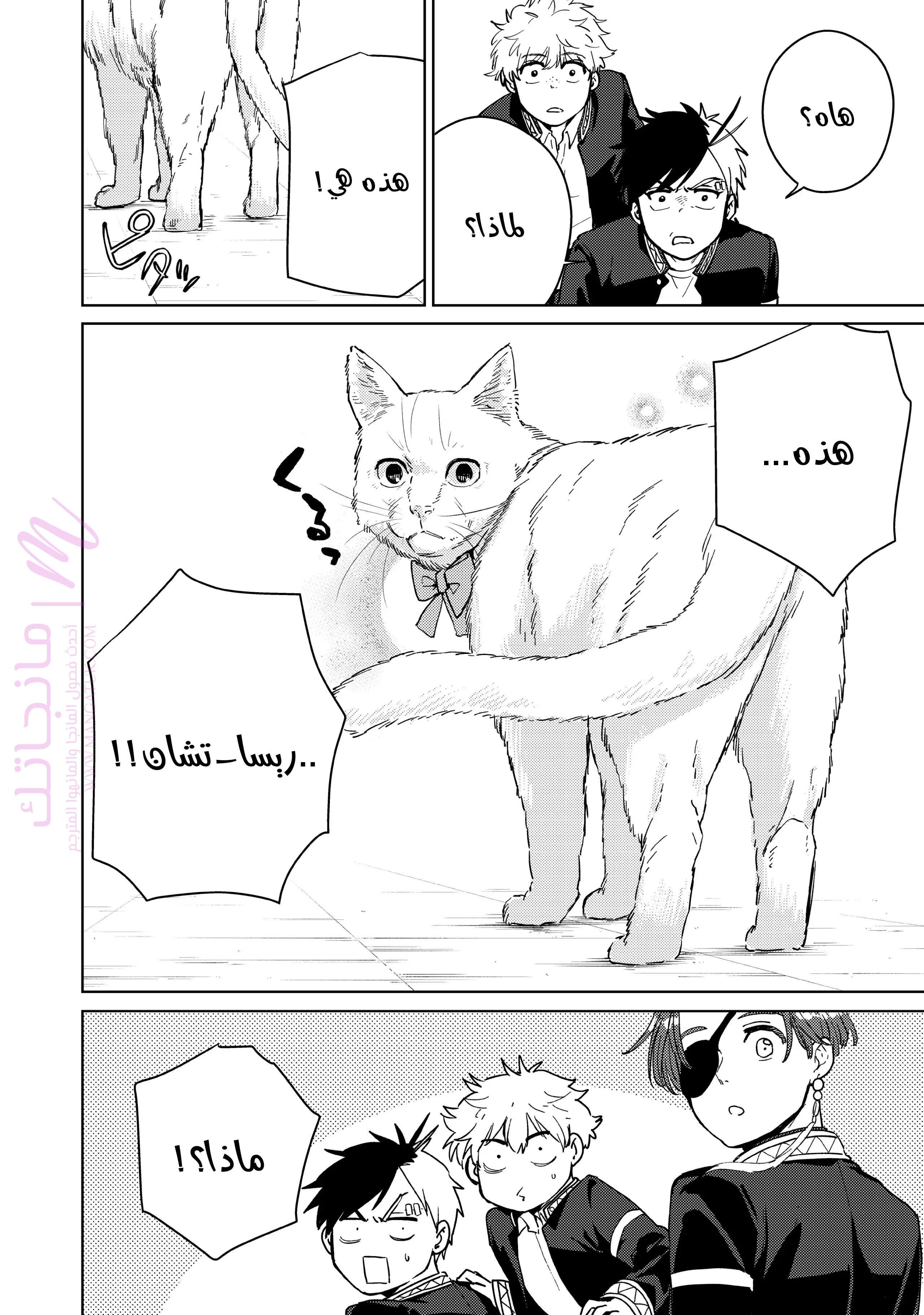 الصفحة 18