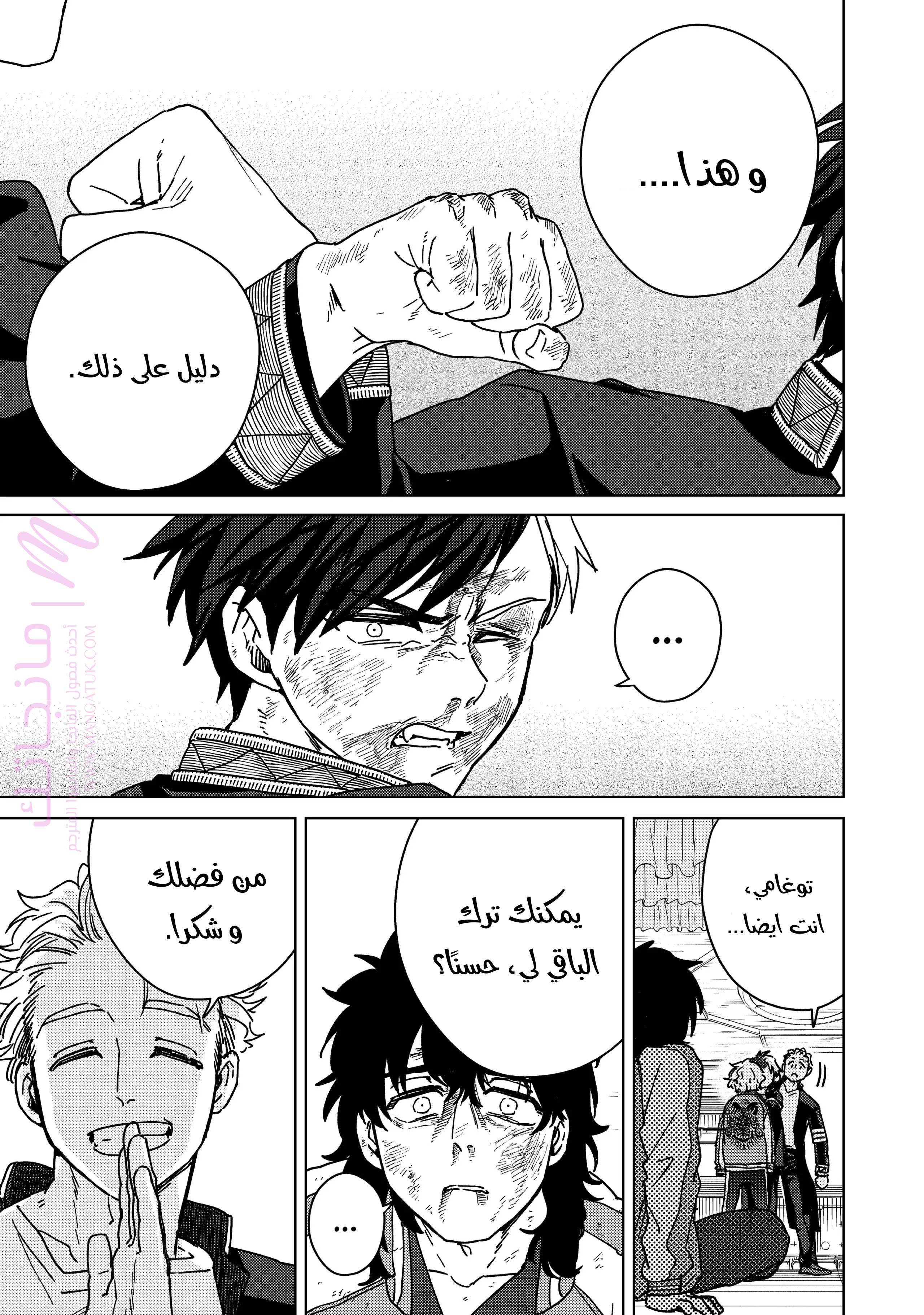 الصفحة 13