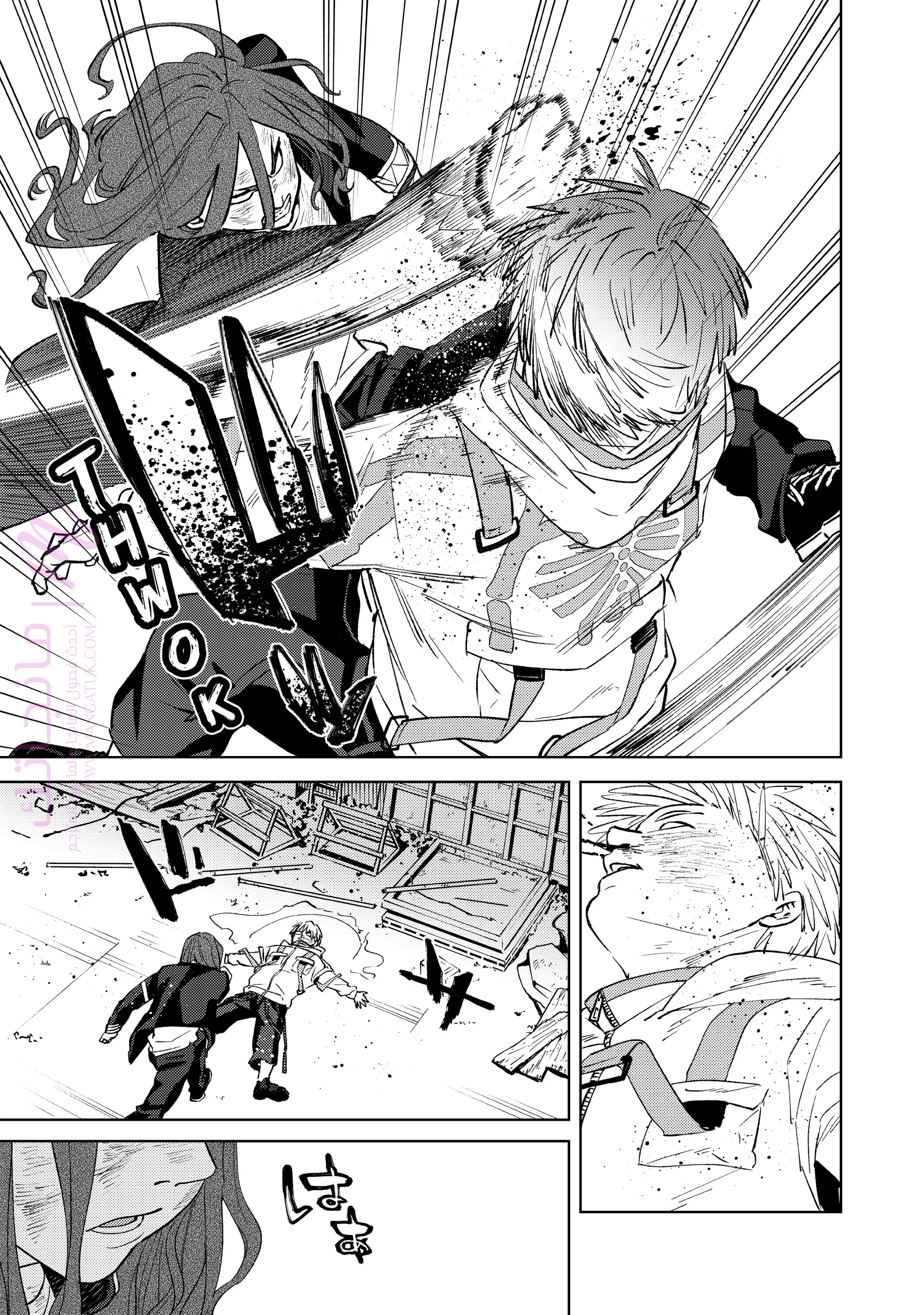 الصفحة 13