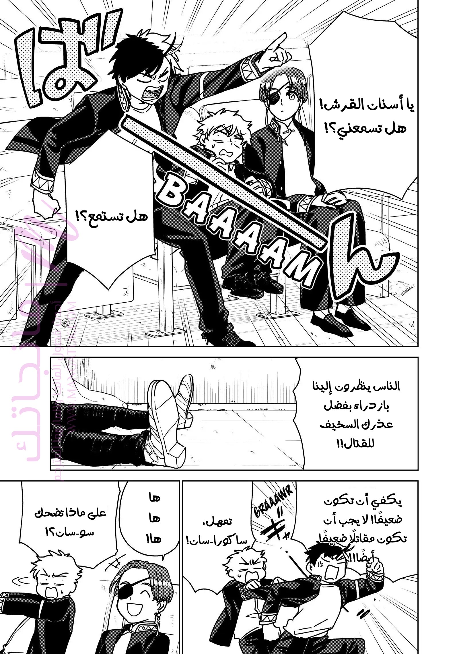 الصفحة 11