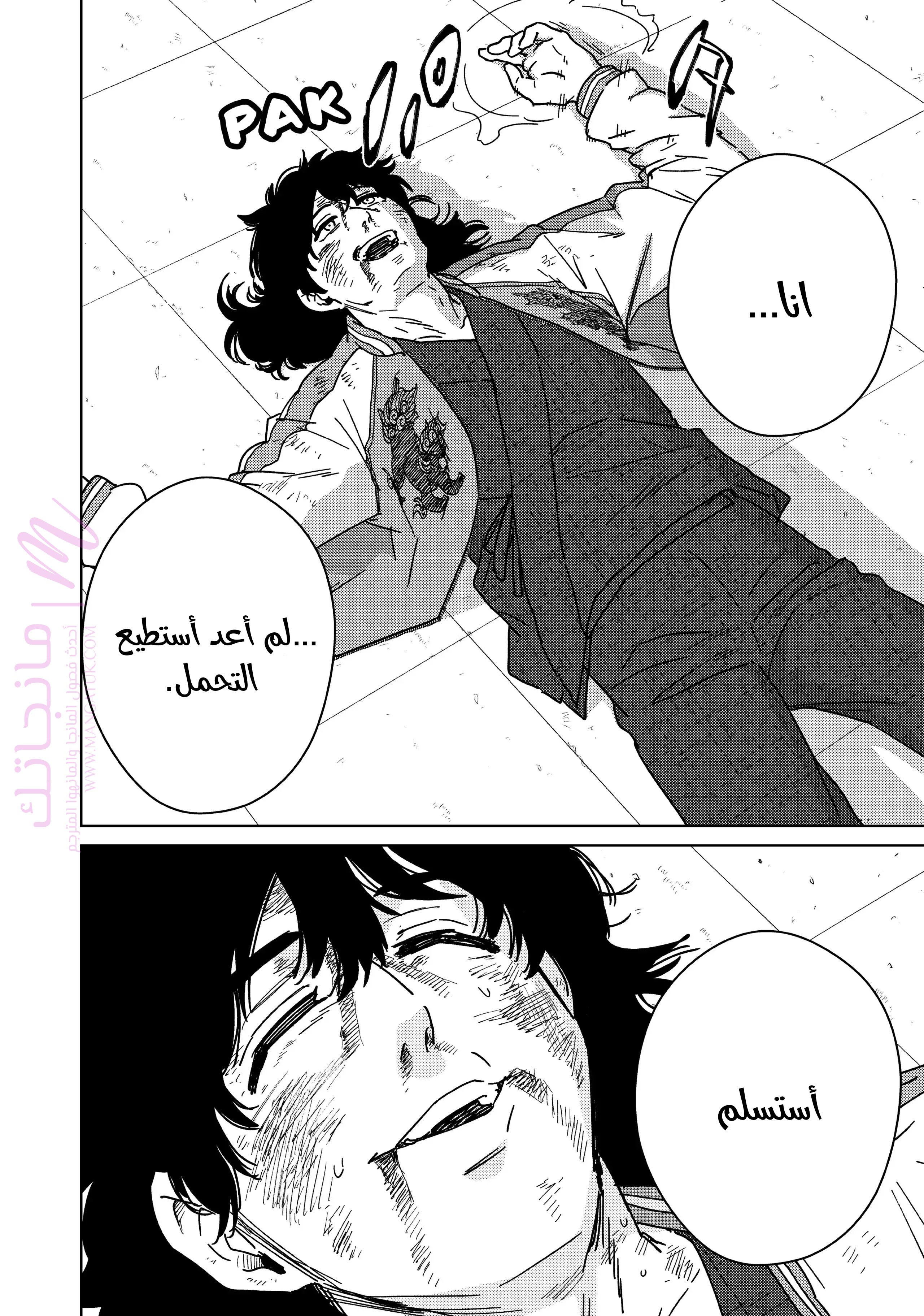 الصفحة 17