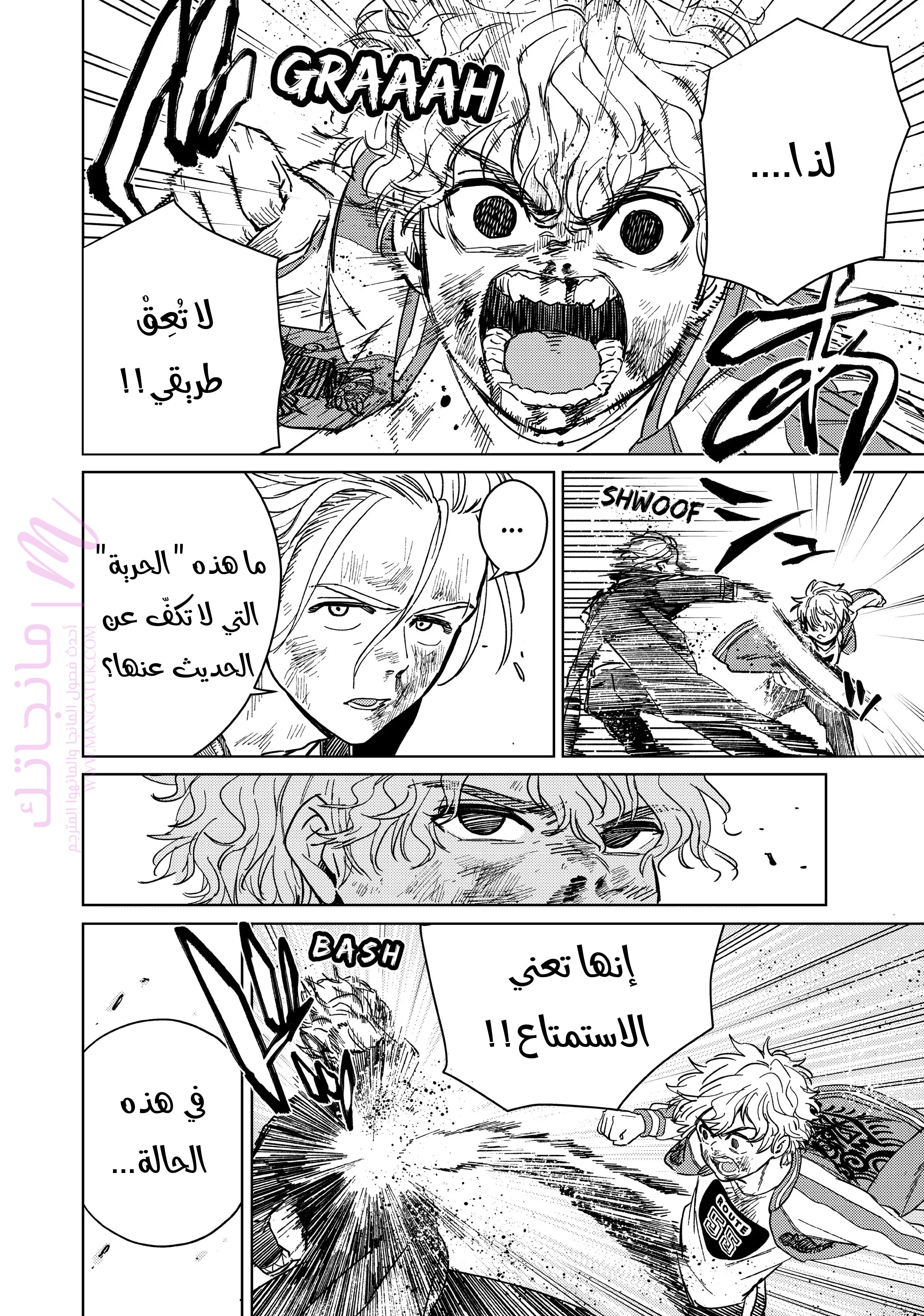 الصفحة 13