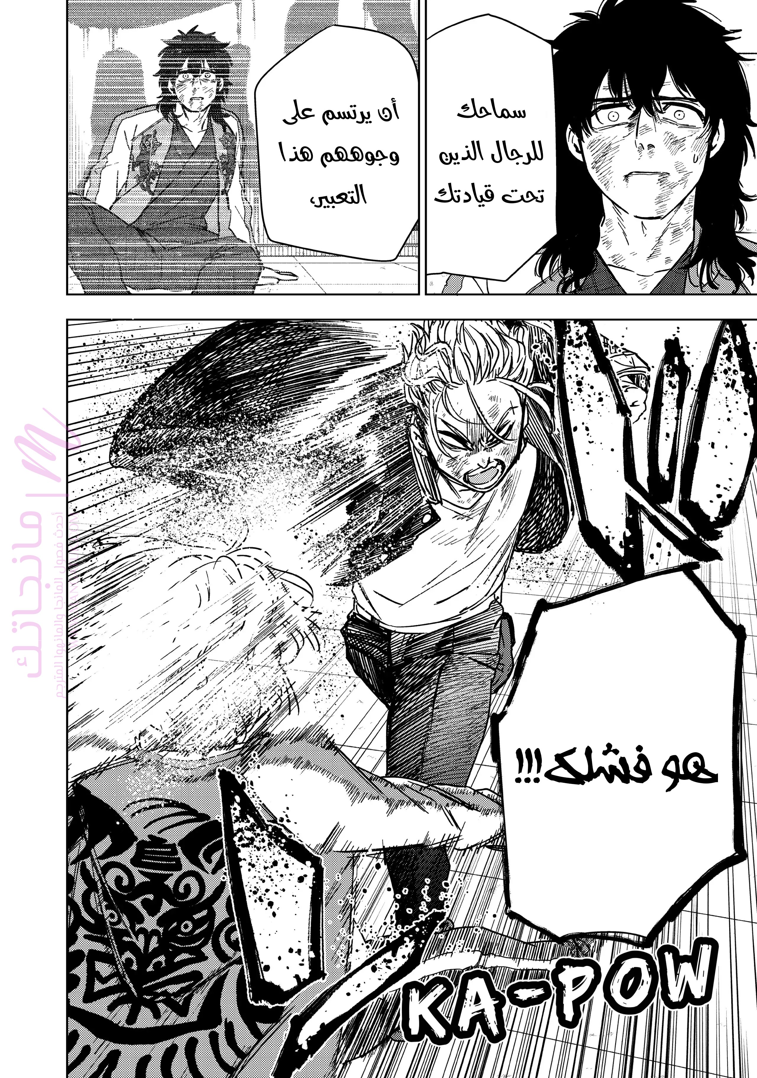 الصفحة 17