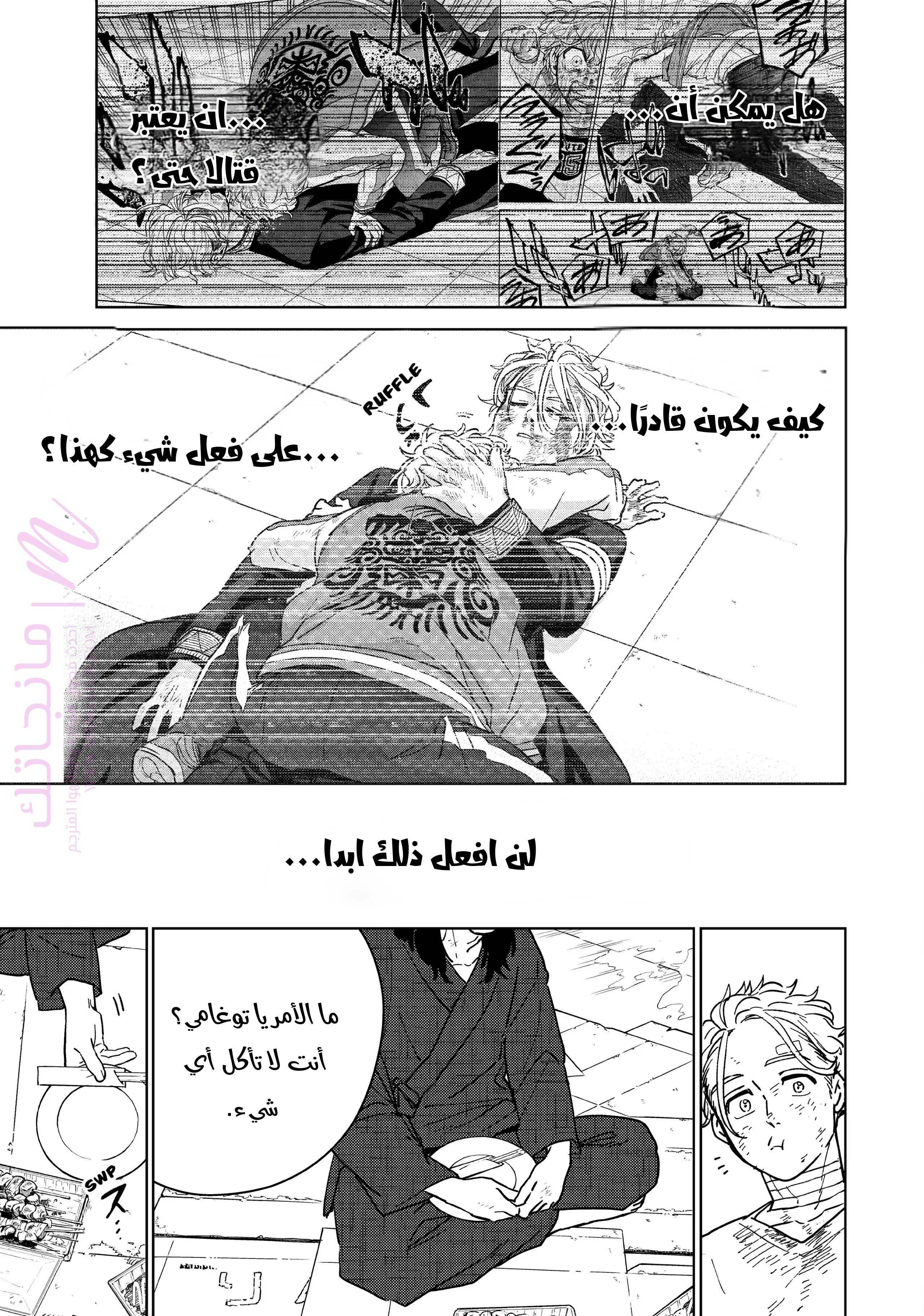 الصفحة 13