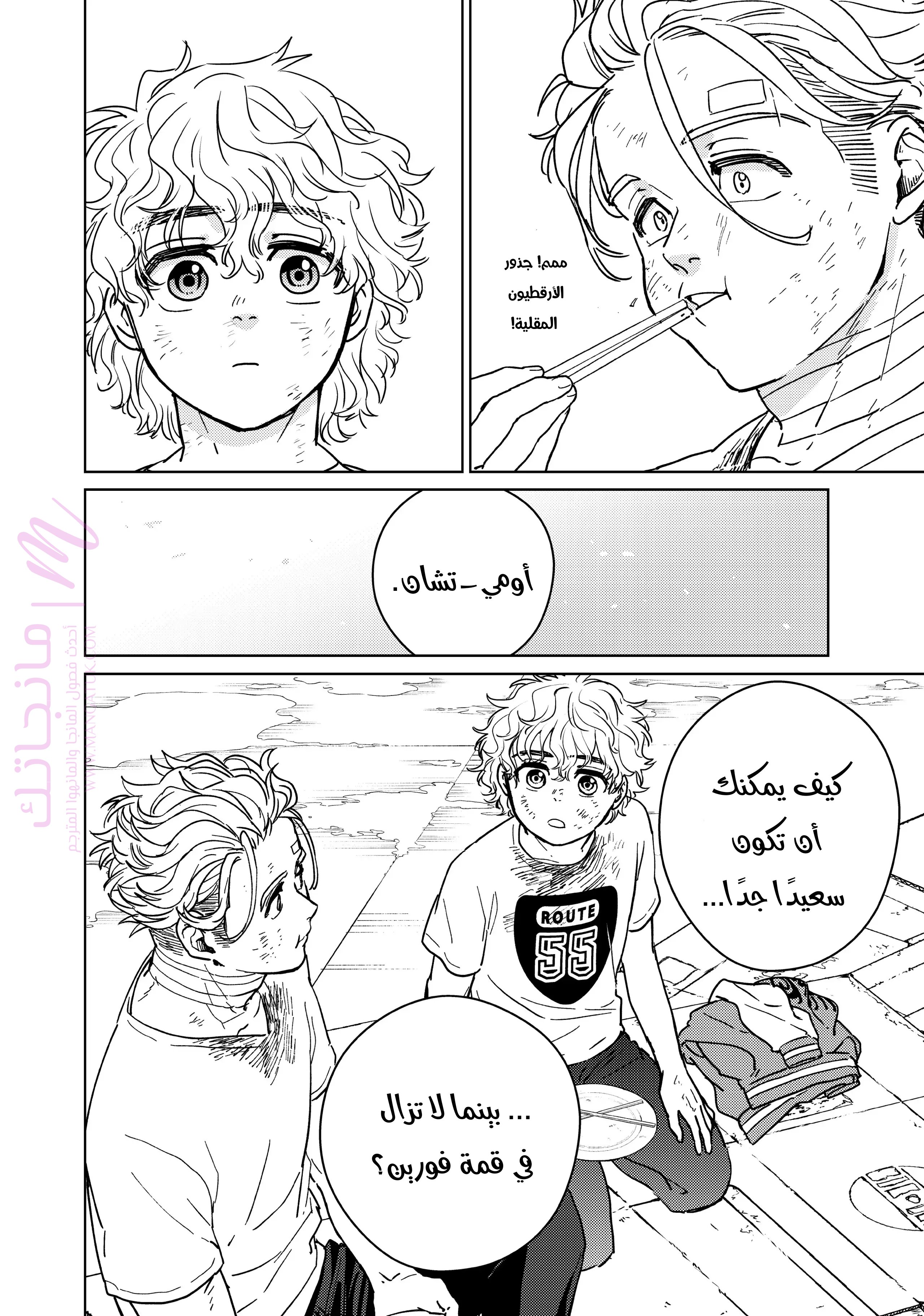 الصفحة 20