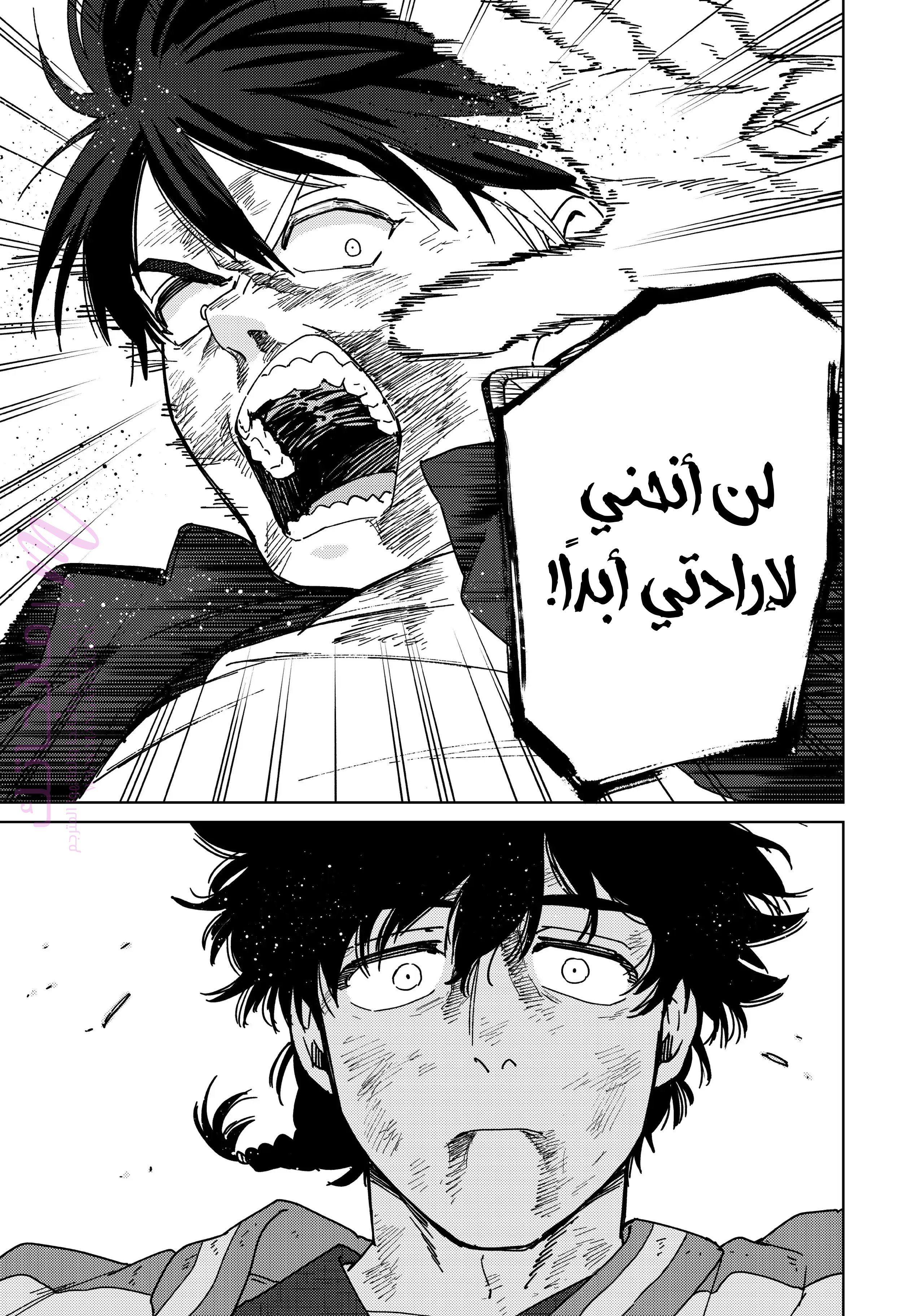الصفحة 13