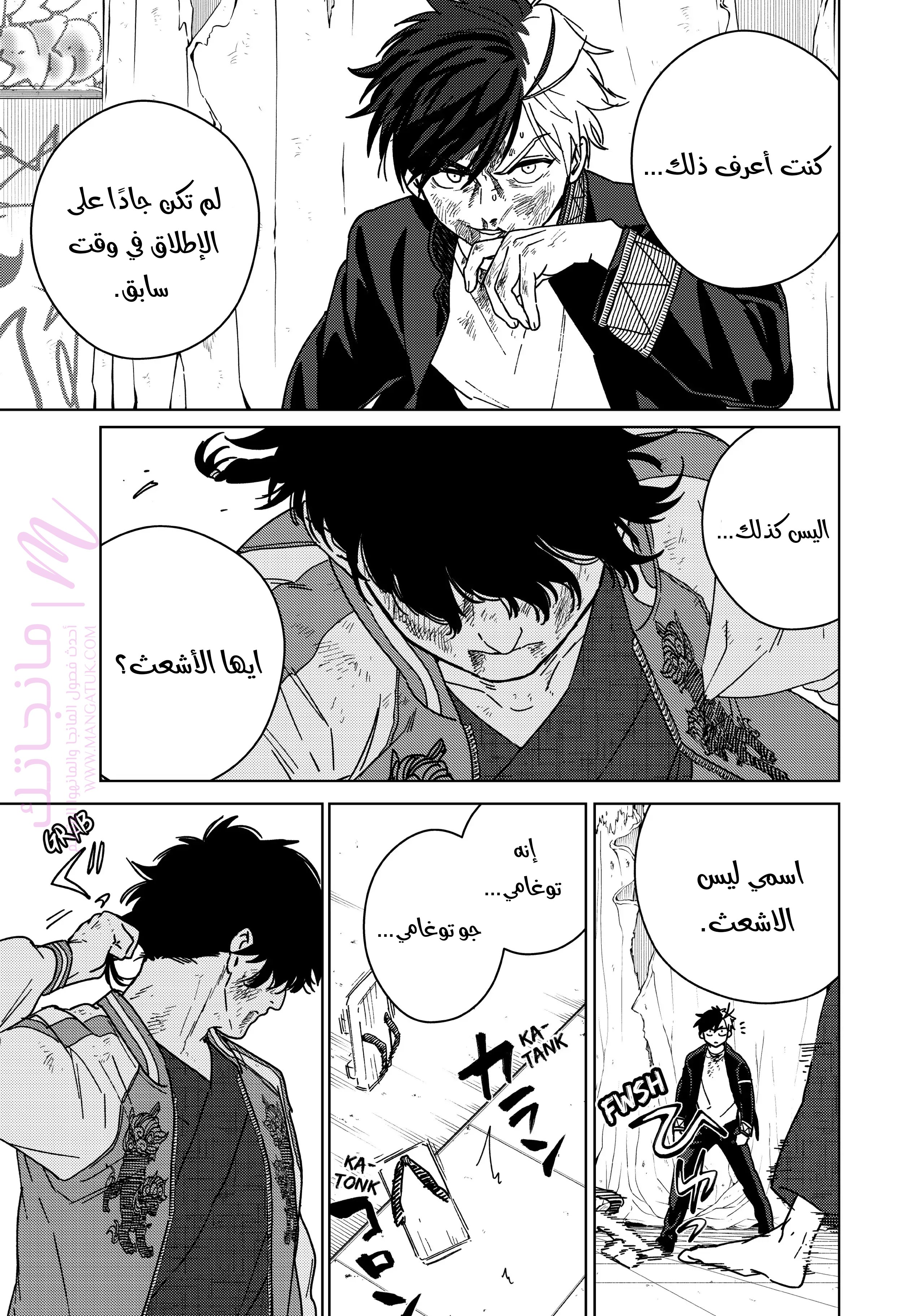 الصفحة 17