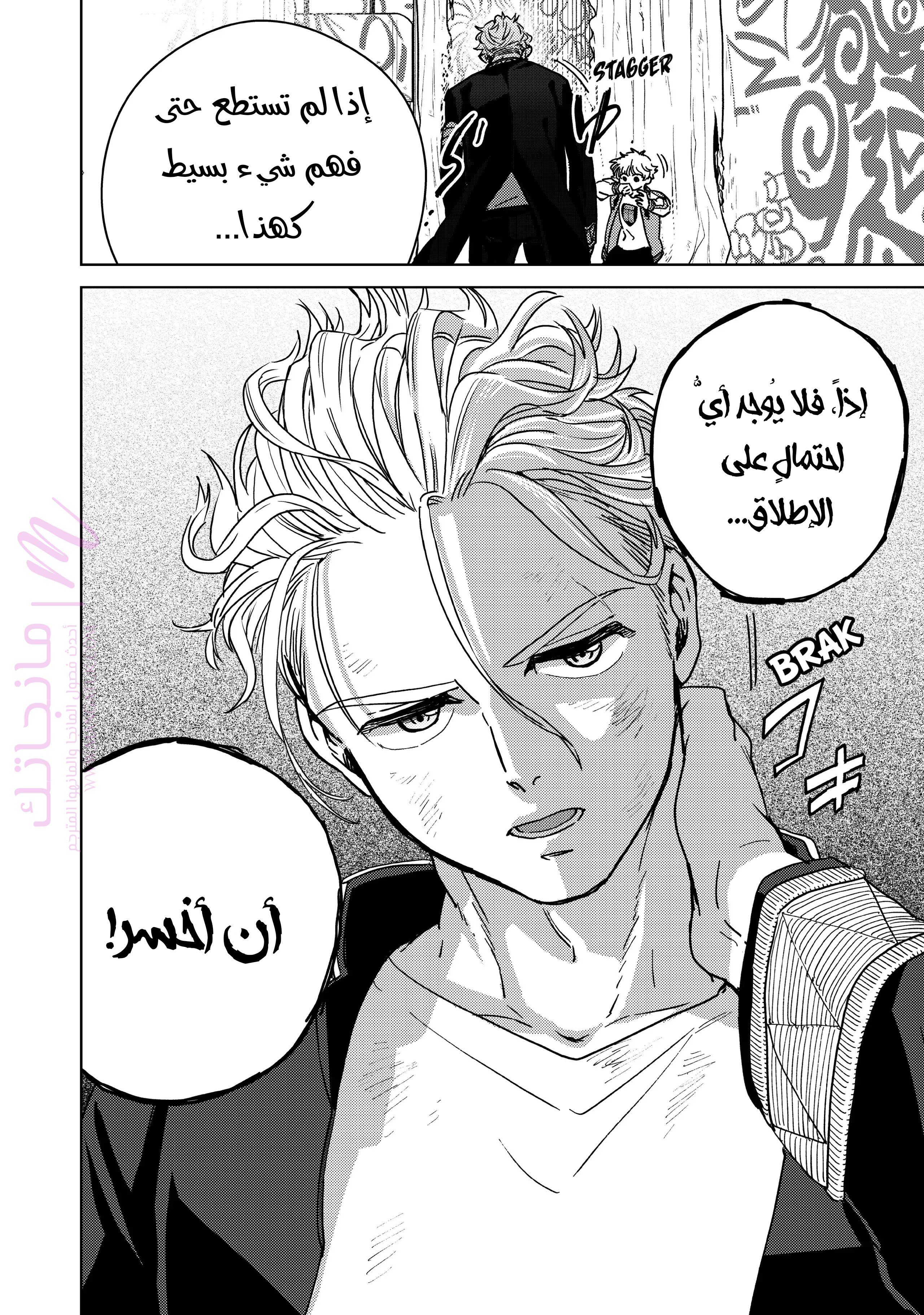 الصفحة 17