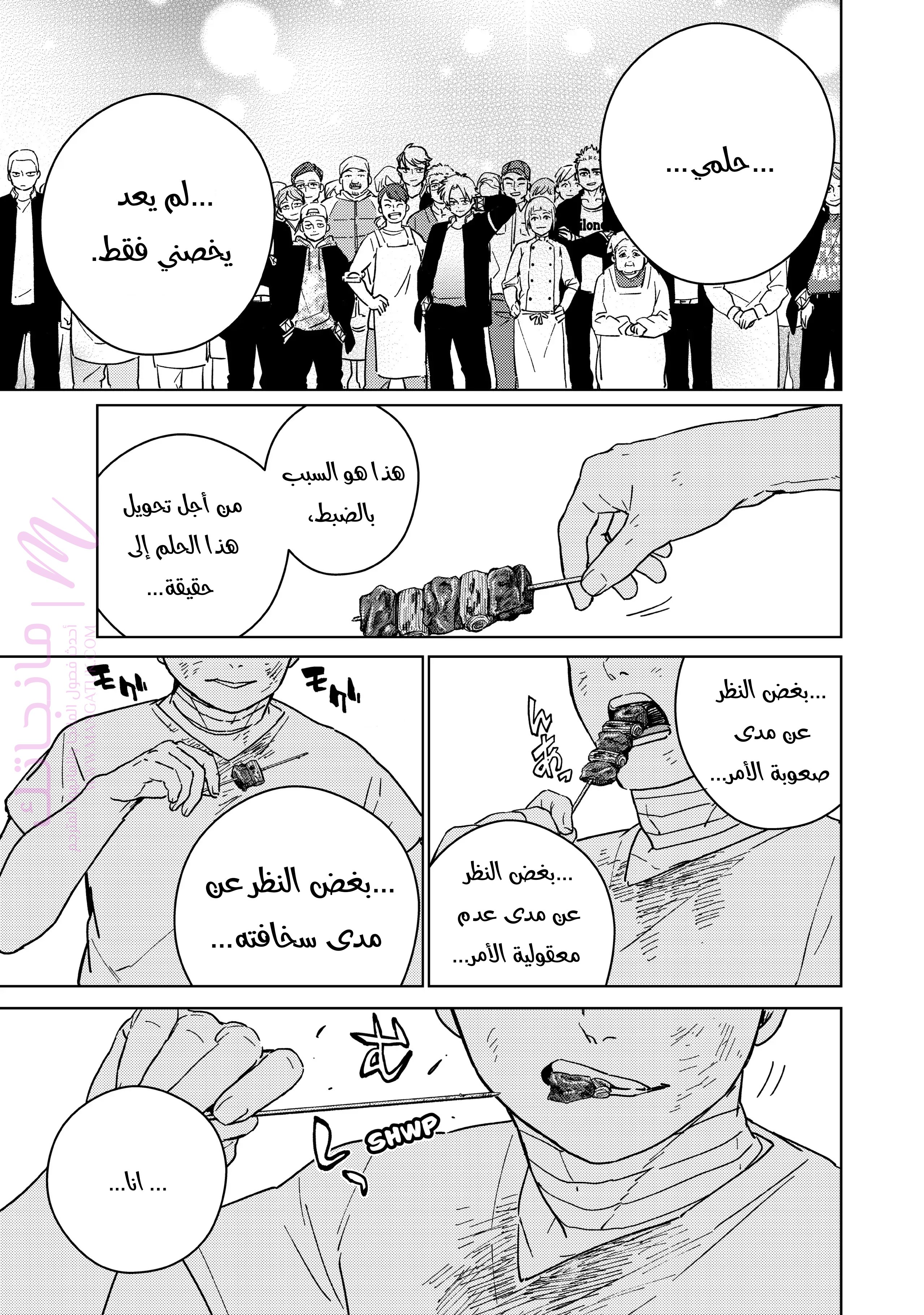 الصفحة 13