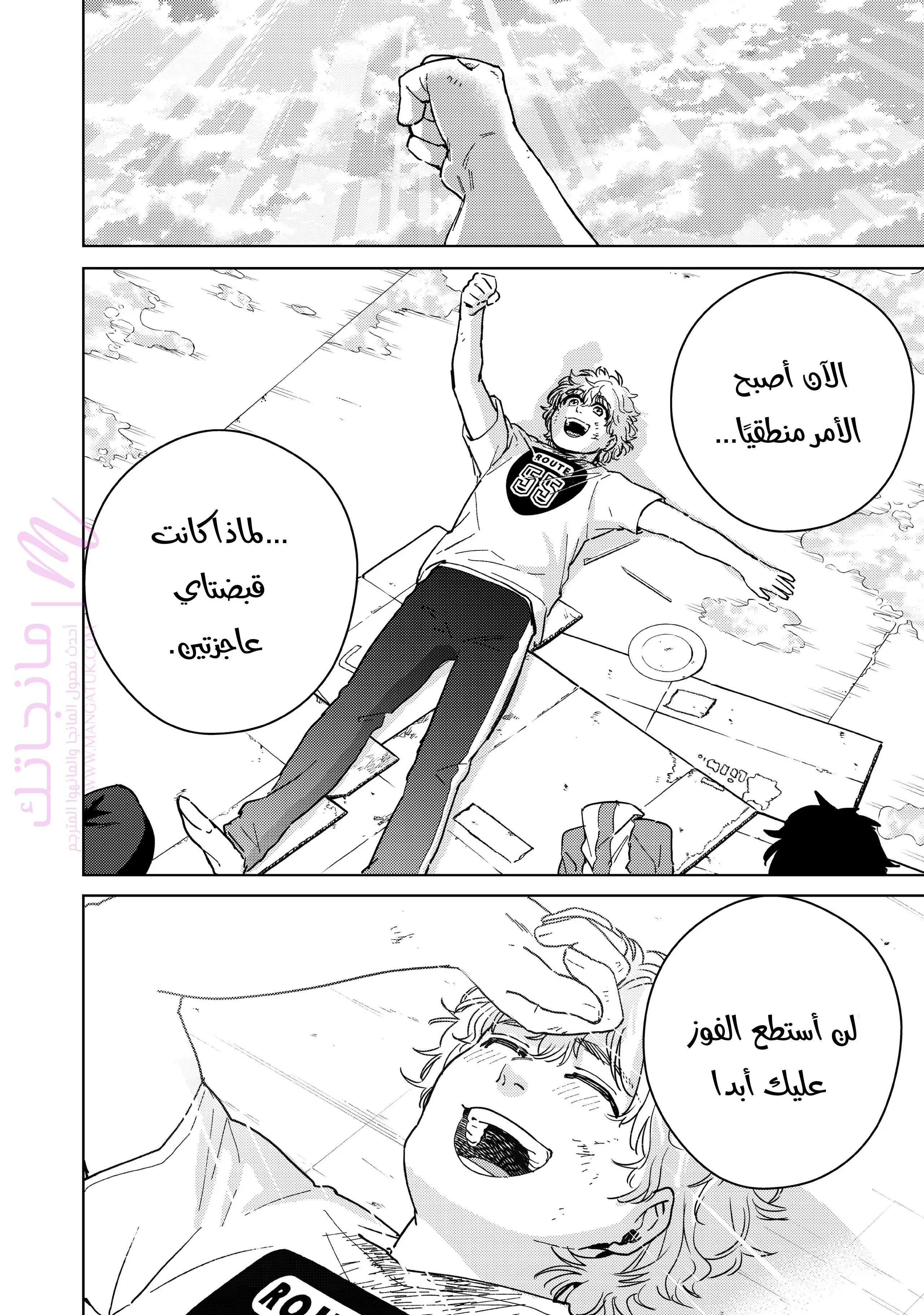 الصفحة 17