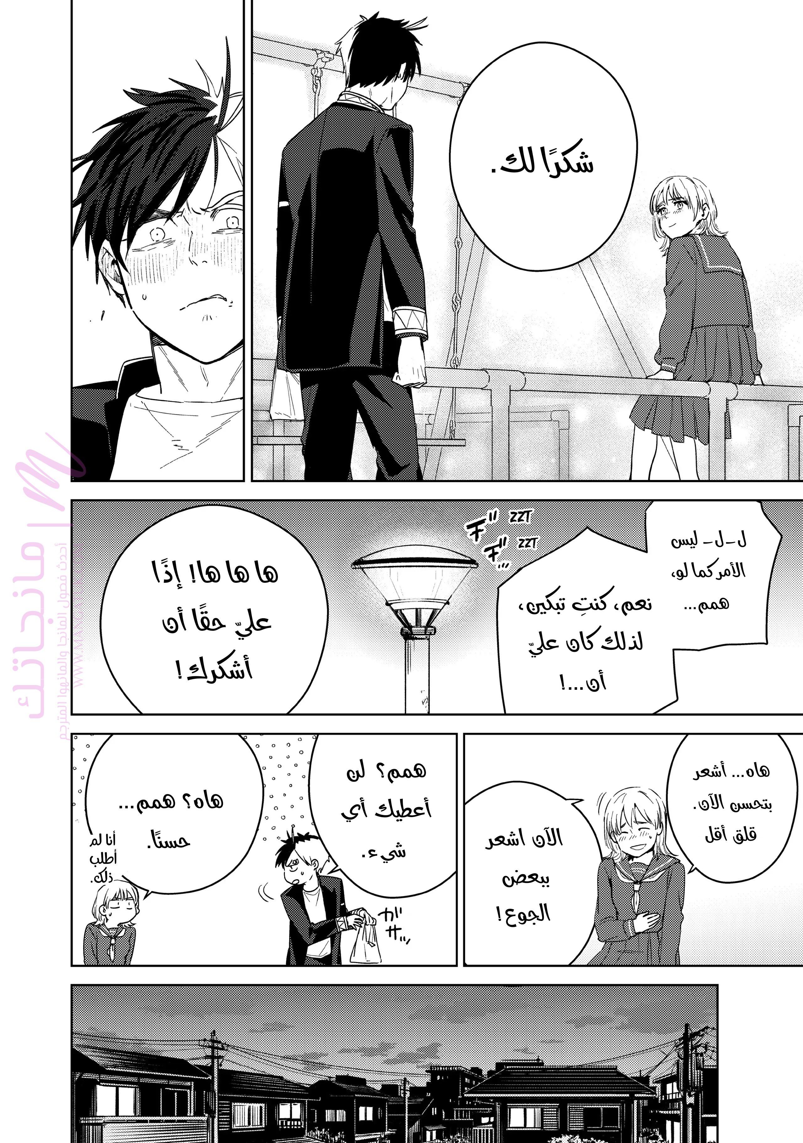 الصفحة 10