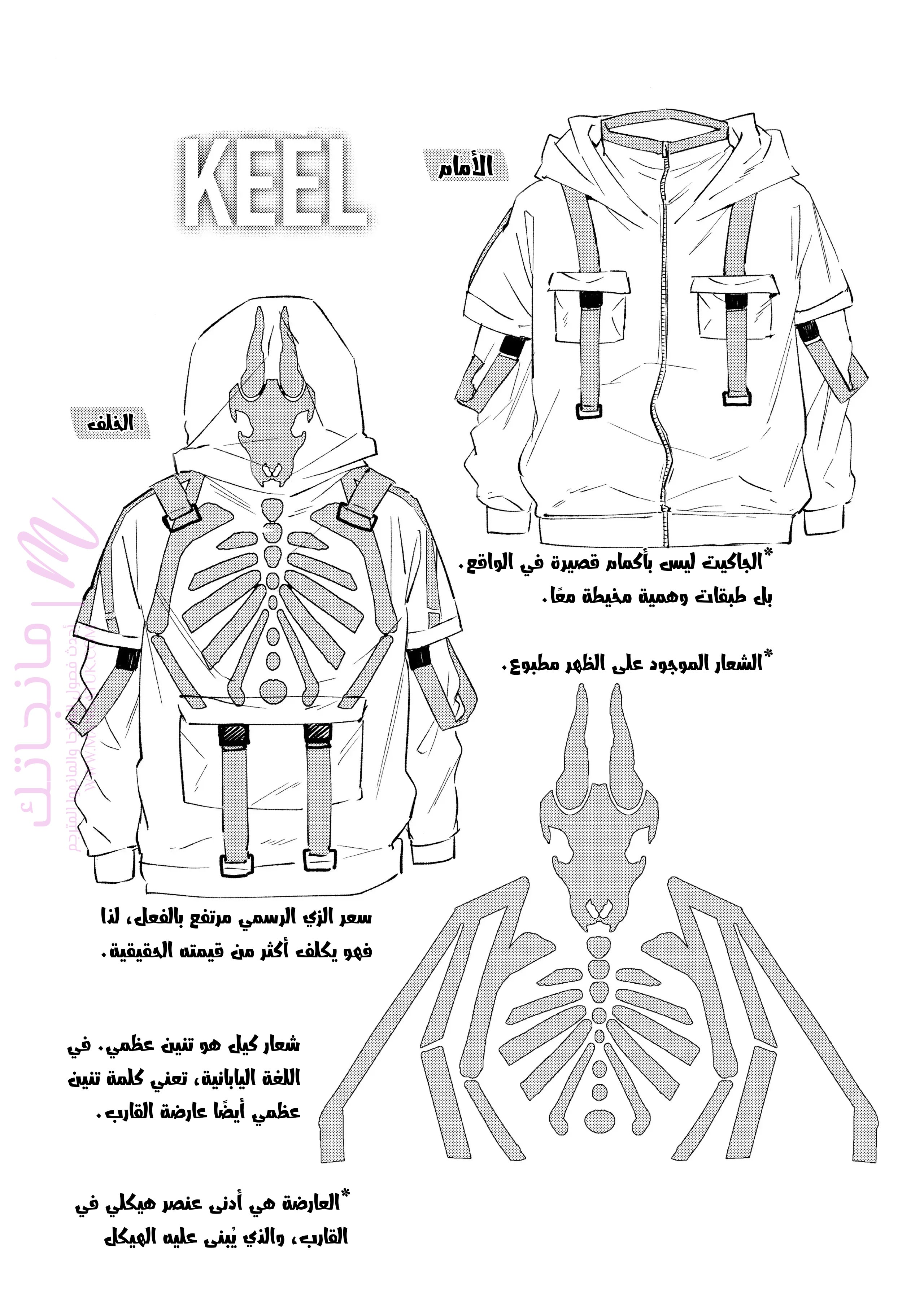 الصفحة 19