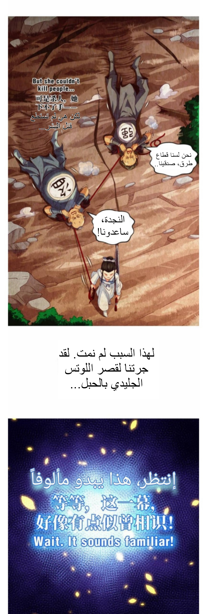 الصفحة 17