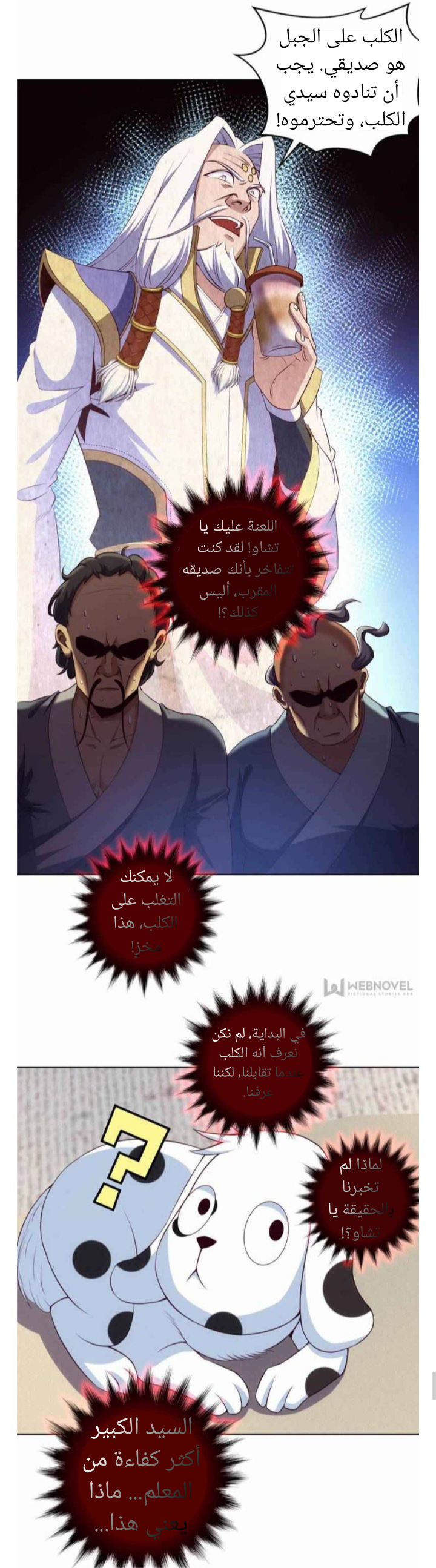 الصفحة 17