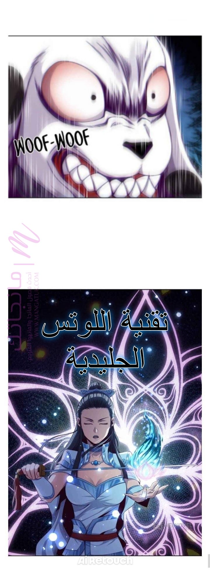 الصفحة 21