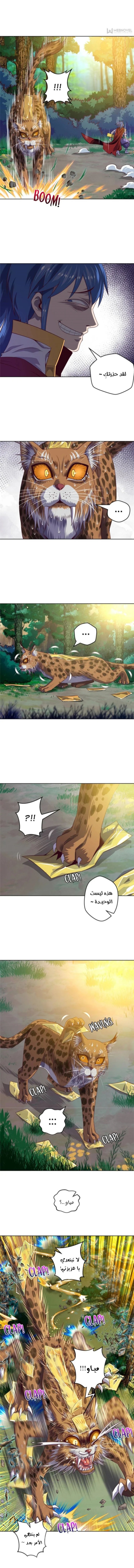 الصفحة 4
