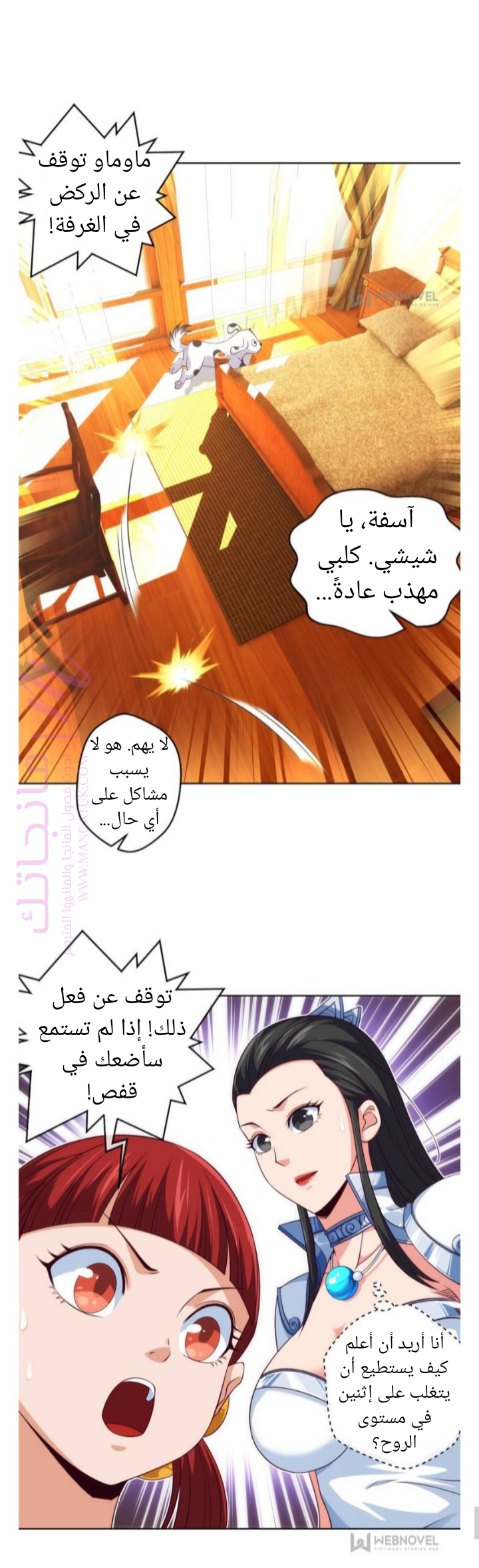 الصفحة 16