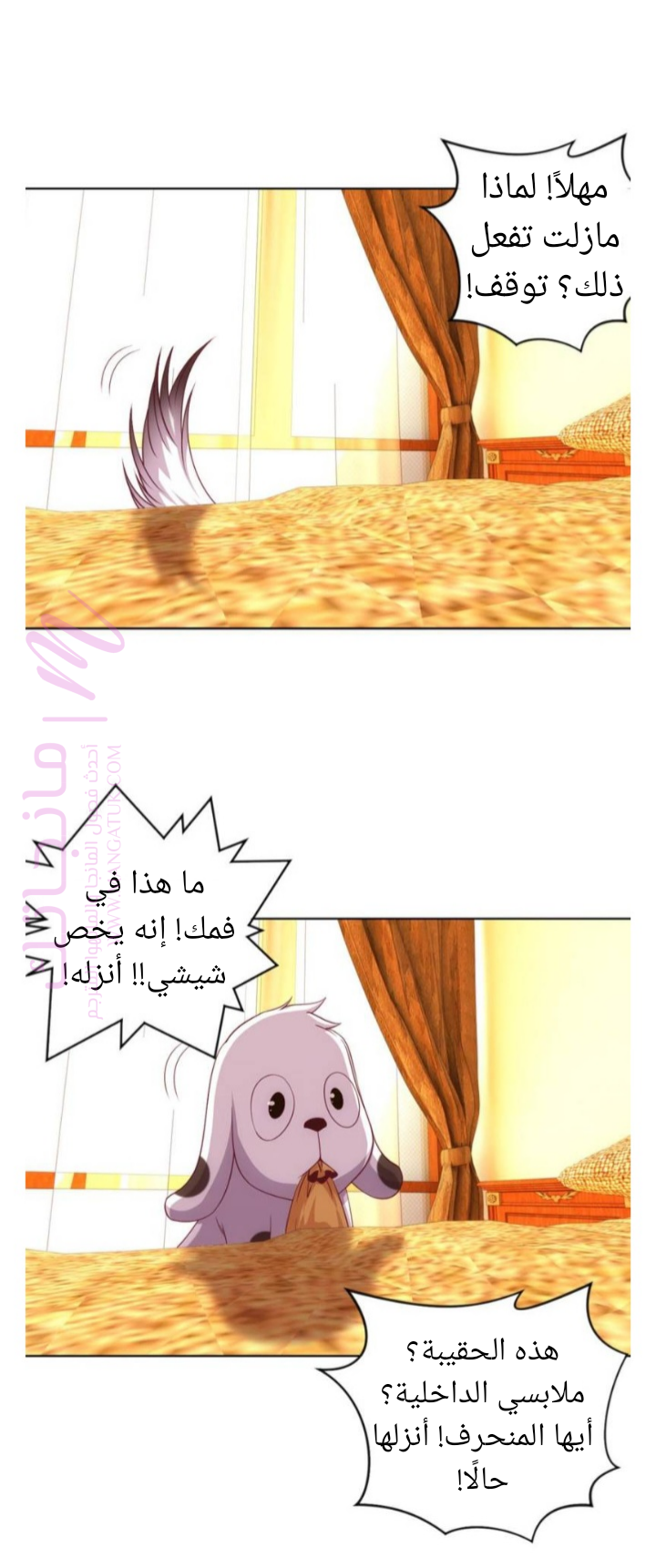الصفحة 17