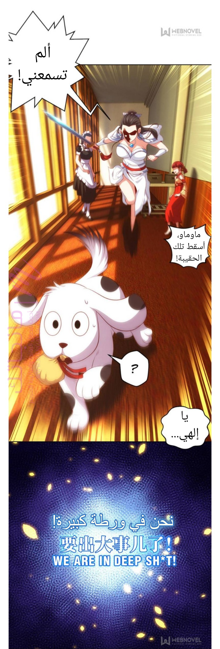 الصفحة 20