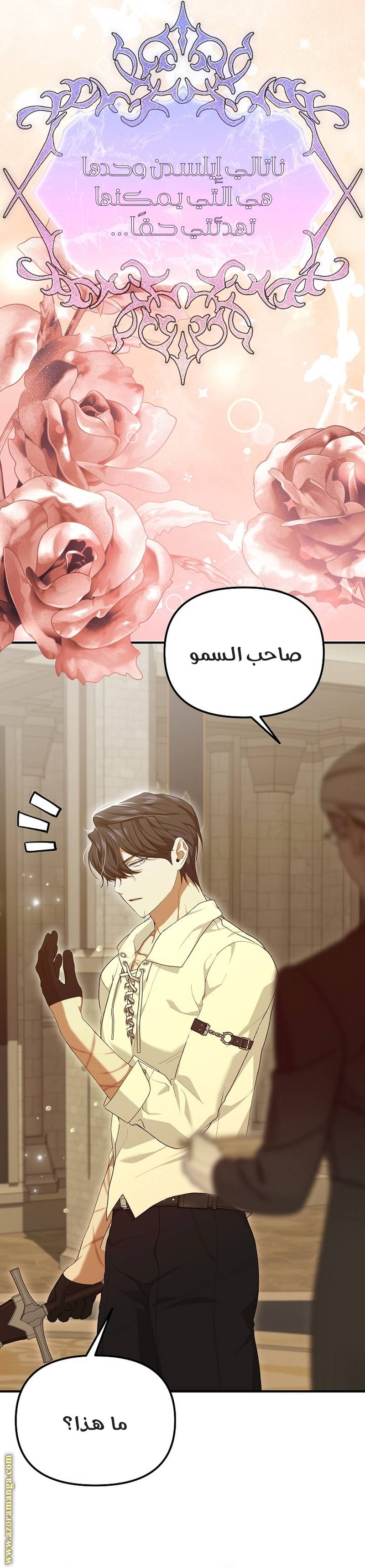 الصفحة 12