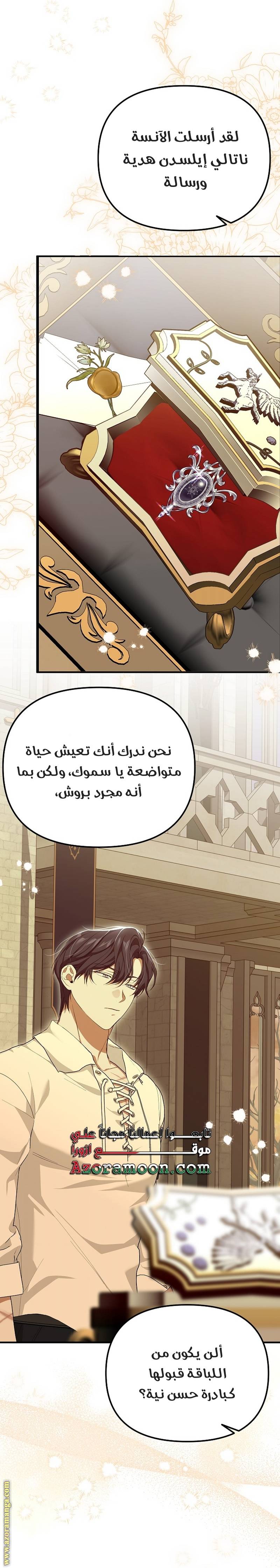الصفحة 13