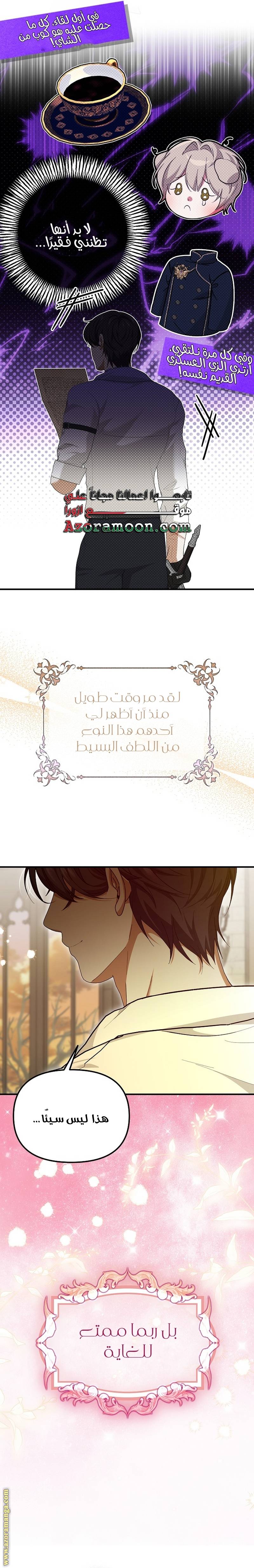 الصفحة 17