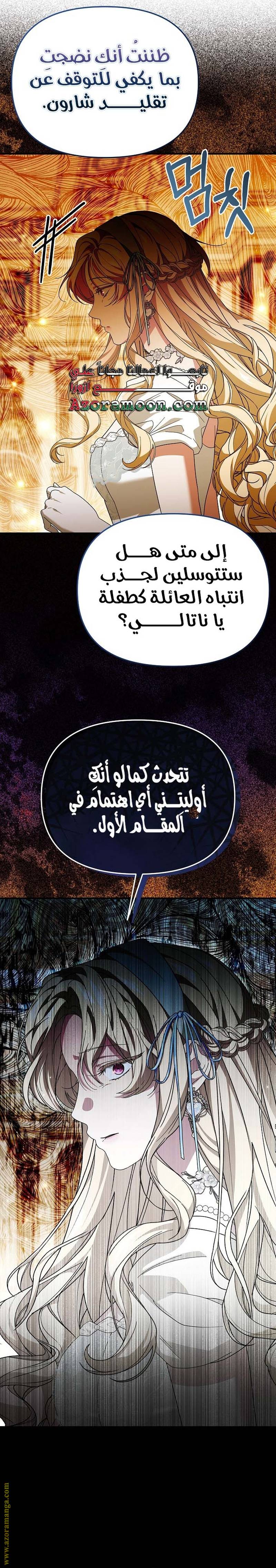 الصفحة 17