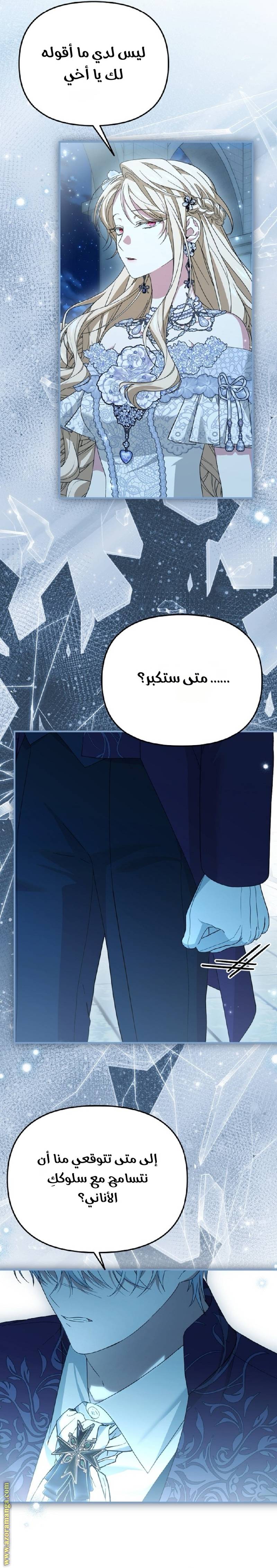 الصفحة 21