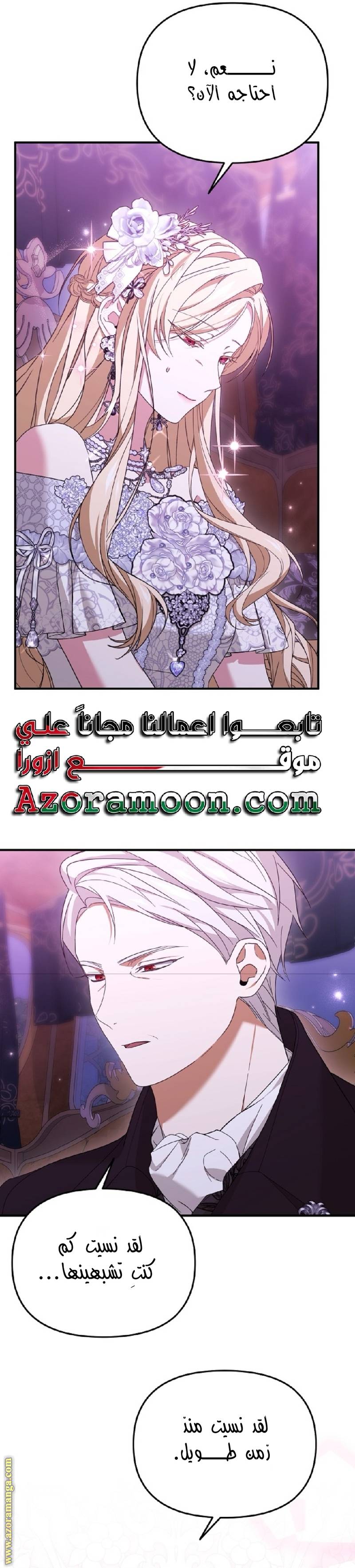 الصفحة 17