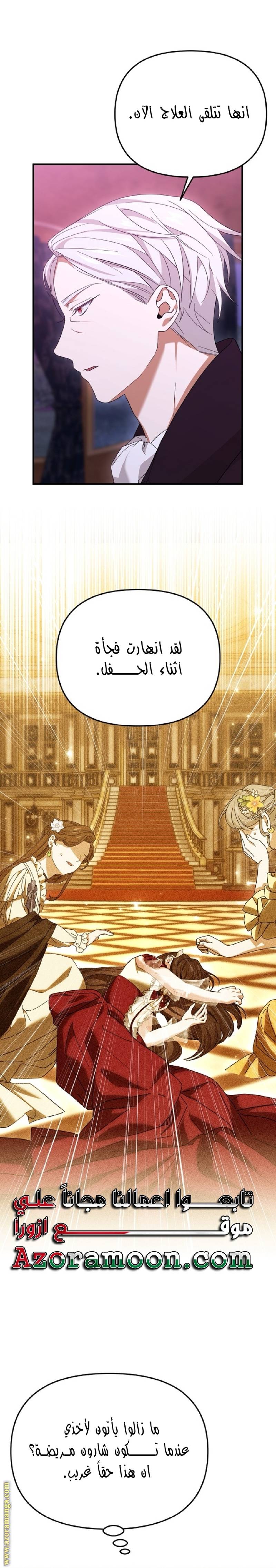 الصفحة 19