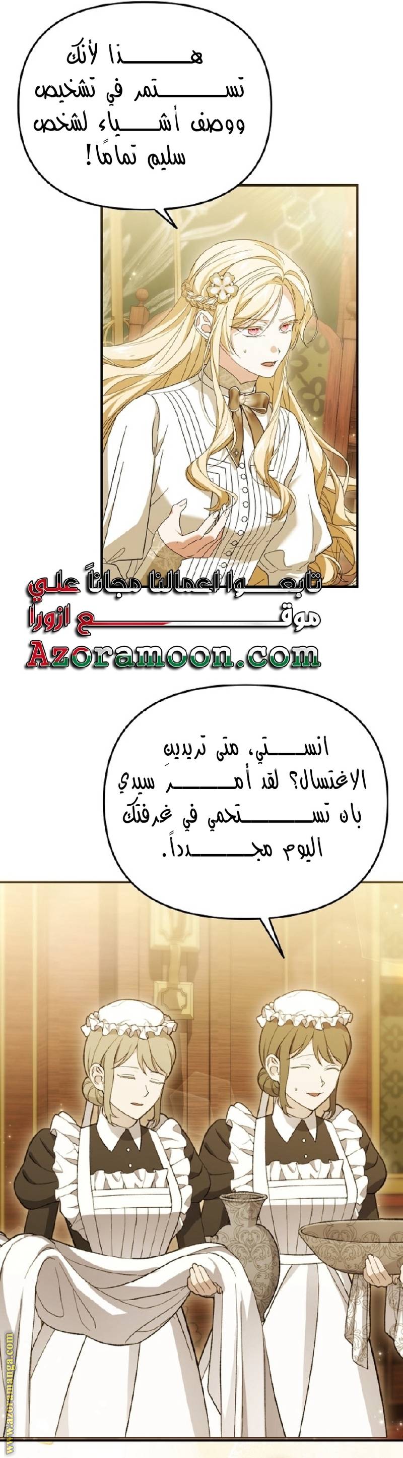 الصفحة 26