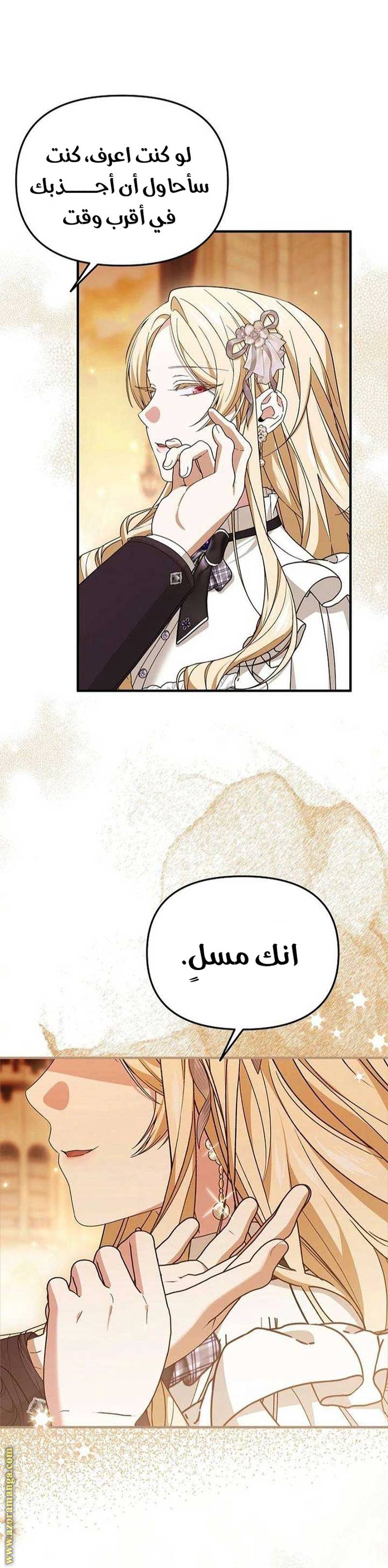 الصفحة 13