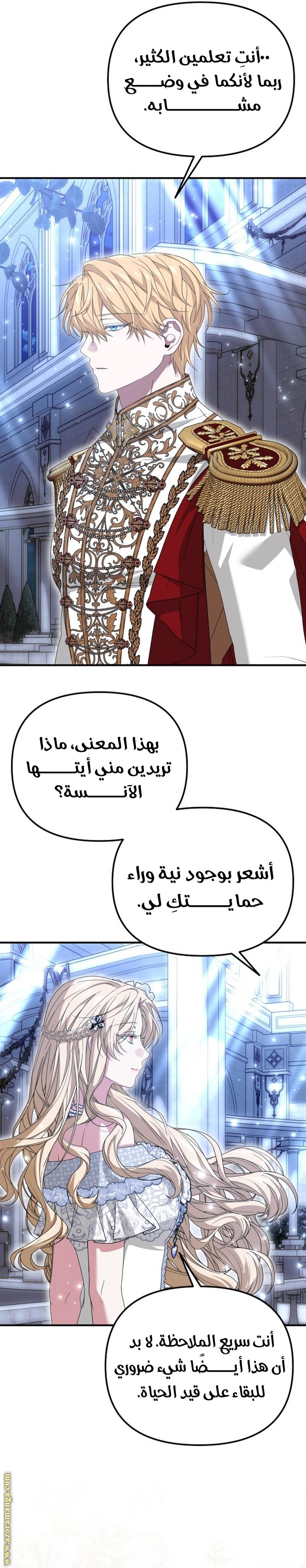 الصفحة 11