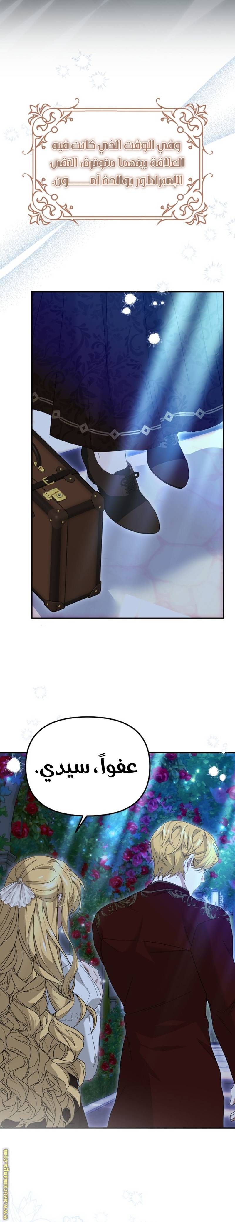 الصفحة 16